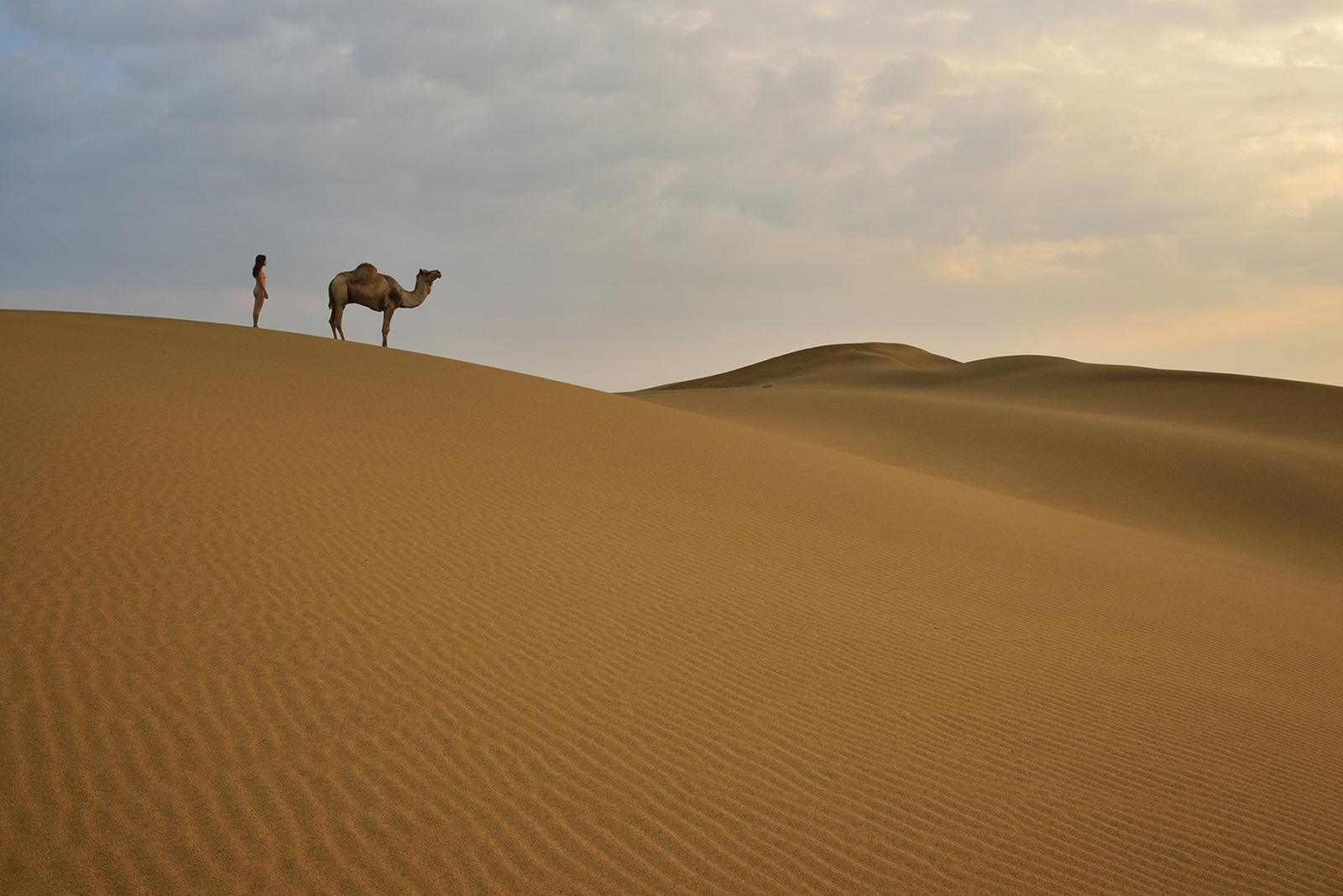Siyala Dunes, <br>India, Thar Desert 2