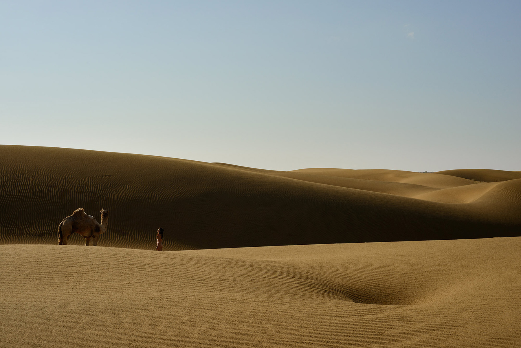 Siyala Dunes, <br>India, Thar Desert 4