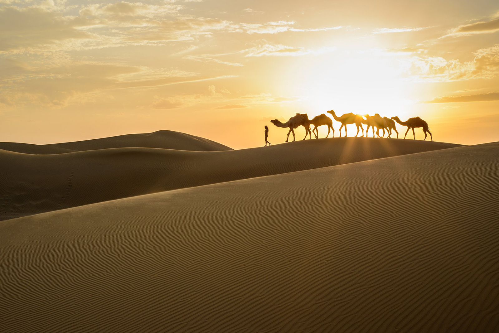 Siyala Dunes, <br>India, Thar Desert 5
