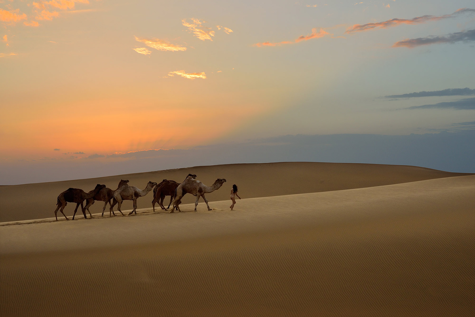 Siyala Dunes, <br>India, Thar Desert 6