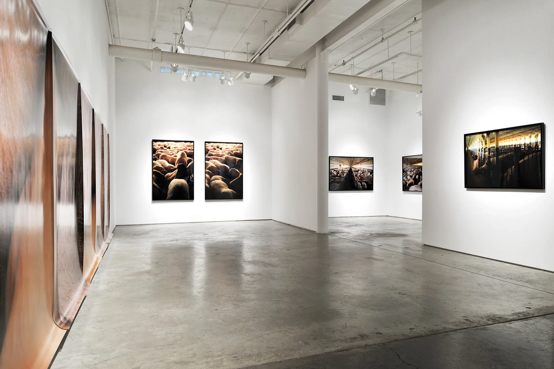 Doosan Gallery <br>New York, NY