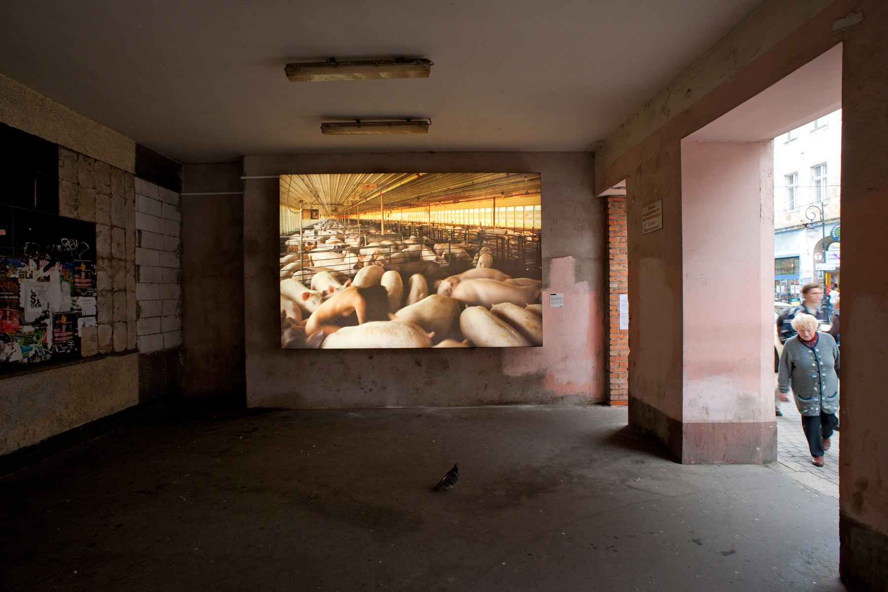 Łódź Biennale, <br>Łódź, Poland