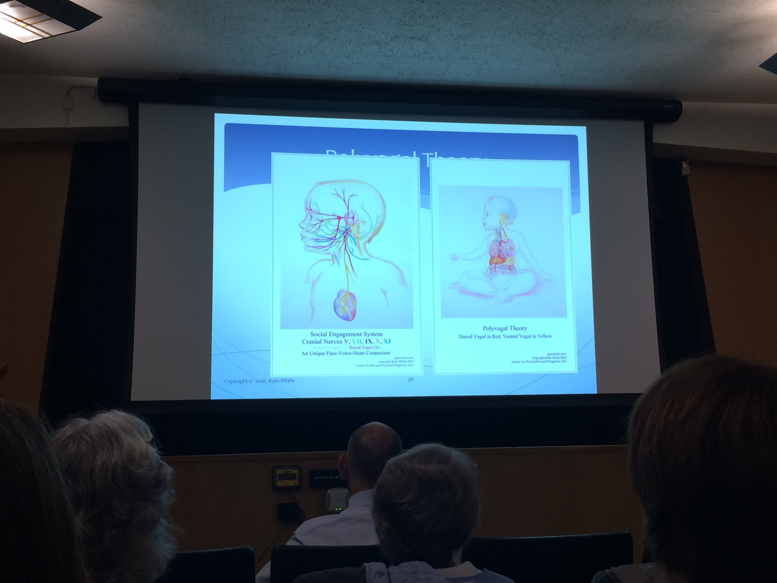 An image from Kate's fabulous PowerPoint