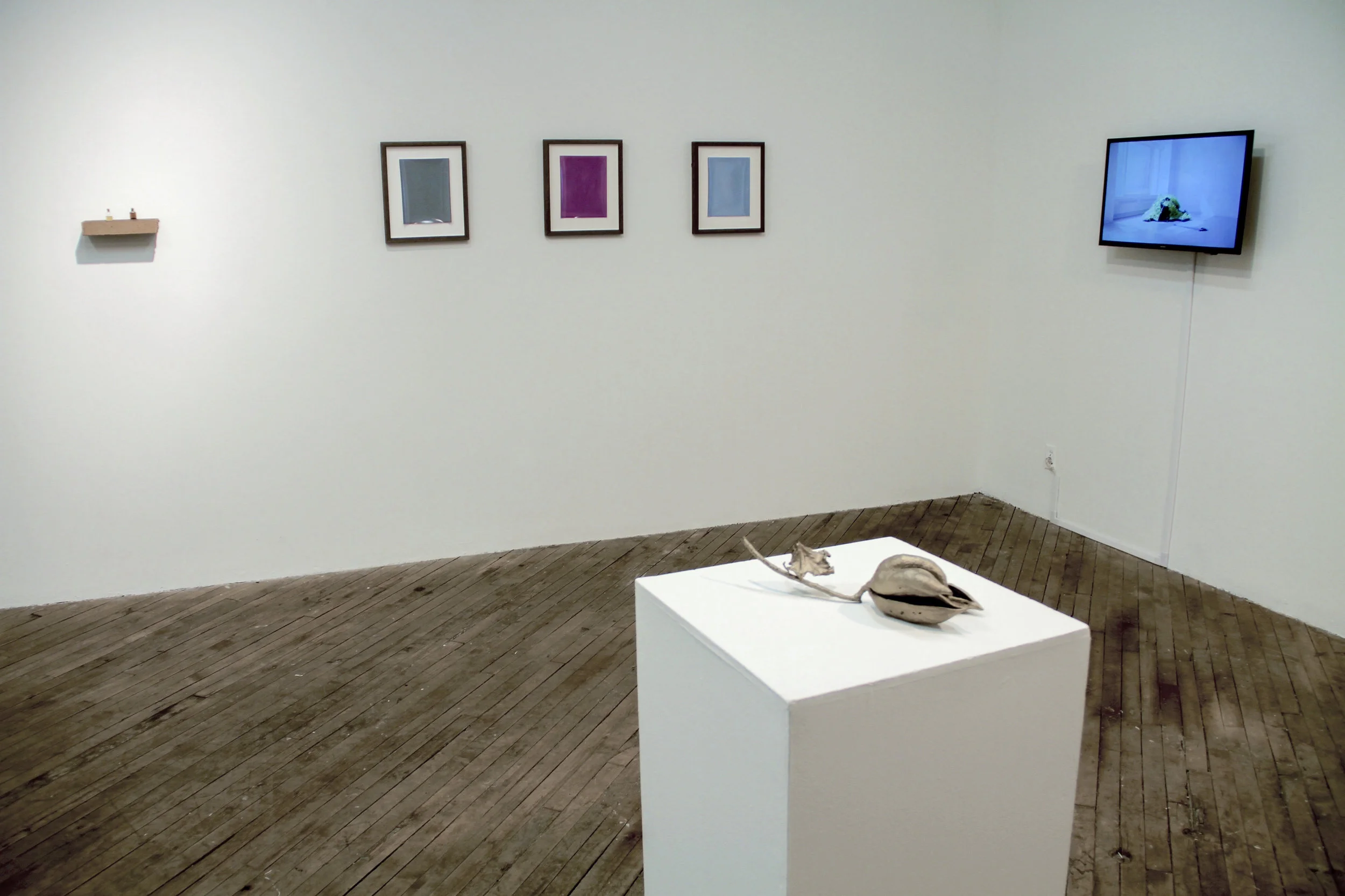 Imperceptibly and Slowly Opening exhibition at Vox Populi in Philadelphia, 2016.