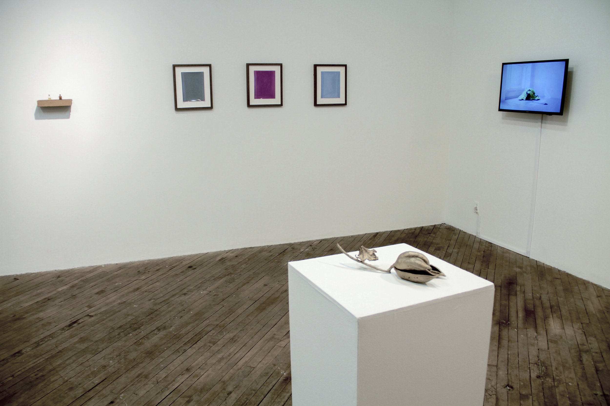    Imperceptibly and Slowly Opening  exhibition at Vox Populi in Philadelphia, 2016.  