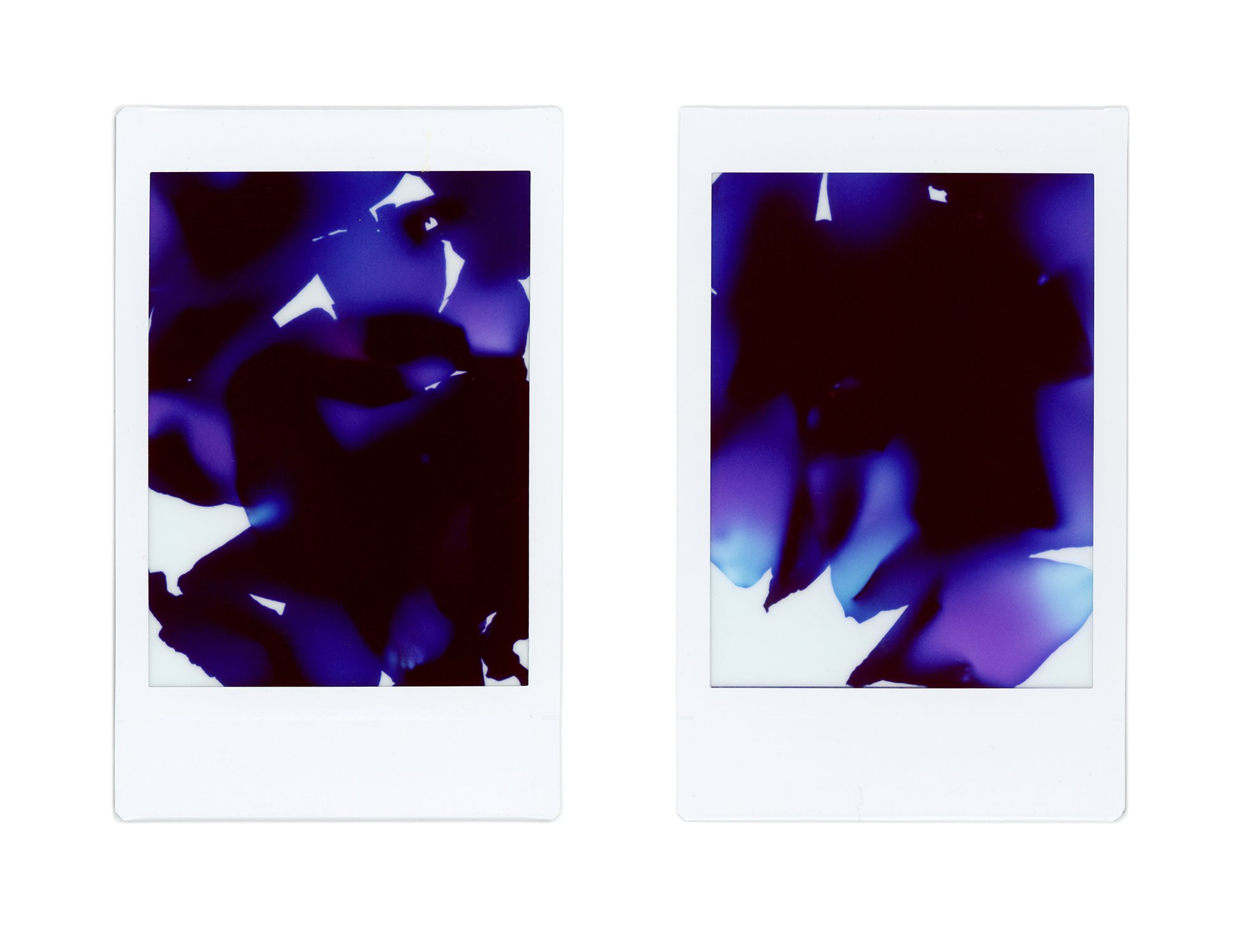 Polaroid Photogram Group Study - 02.jpg