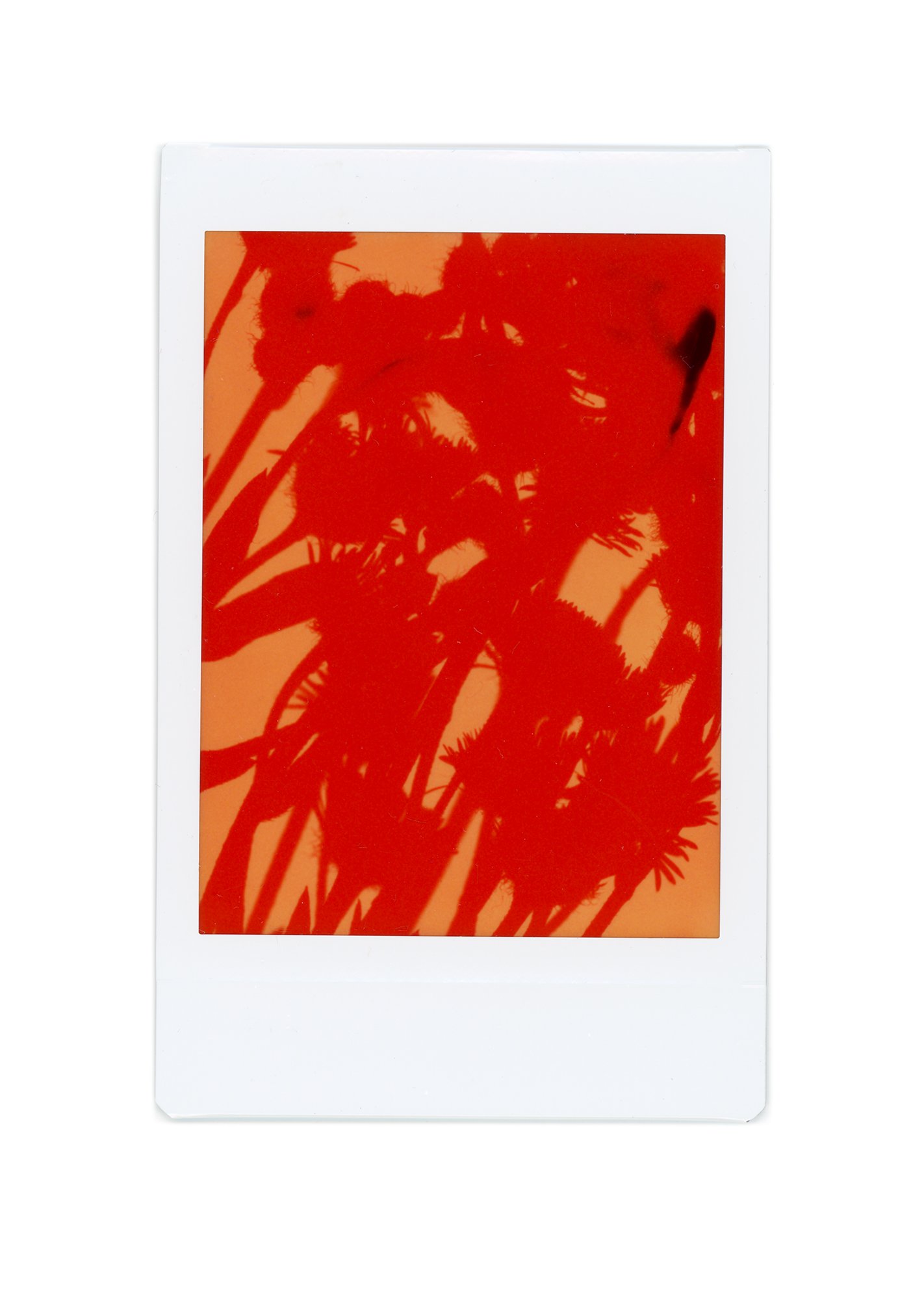 Polaroid Photogram Study - 03.jpg