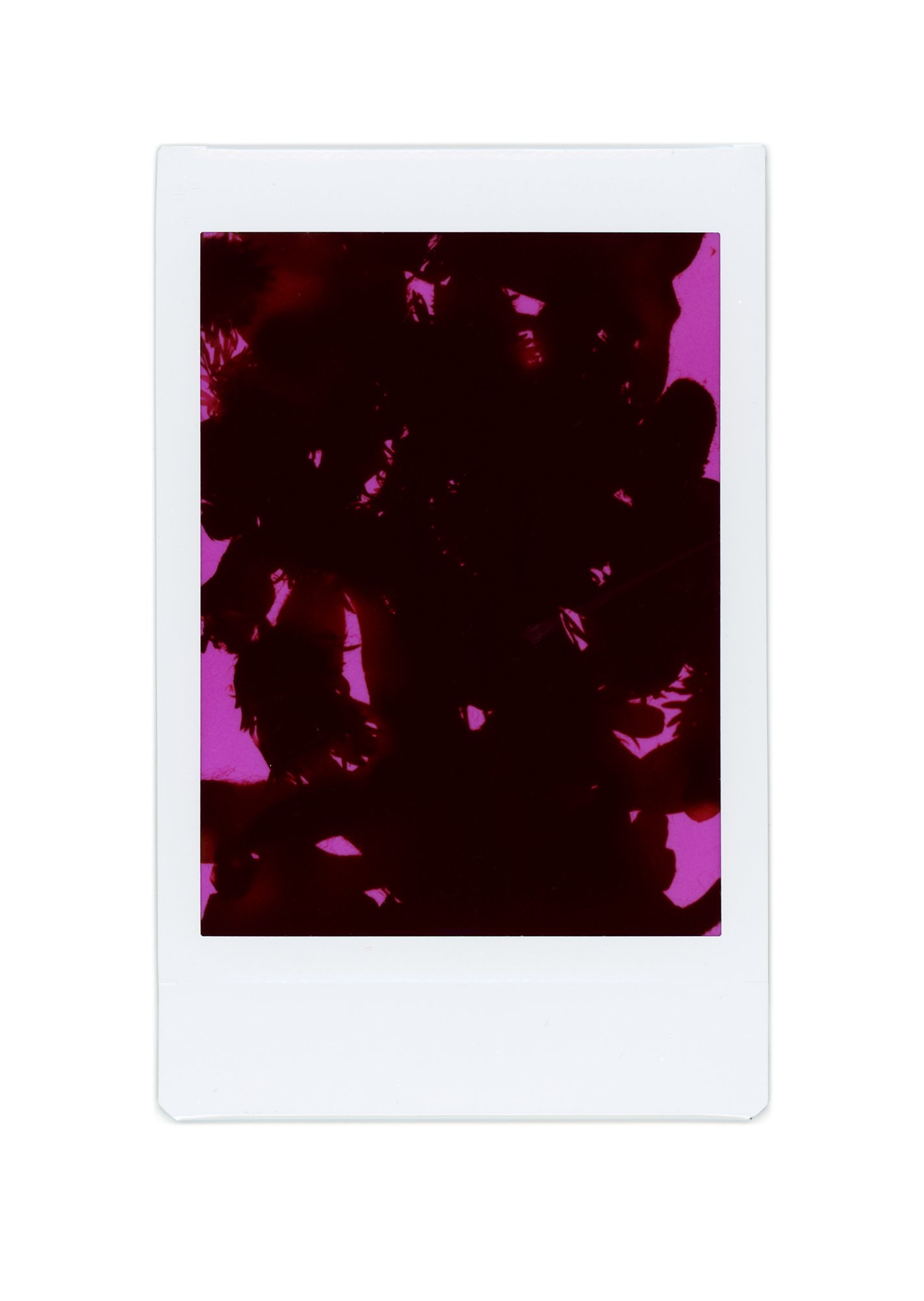 Polaroid Photogram Study - 09.jpg