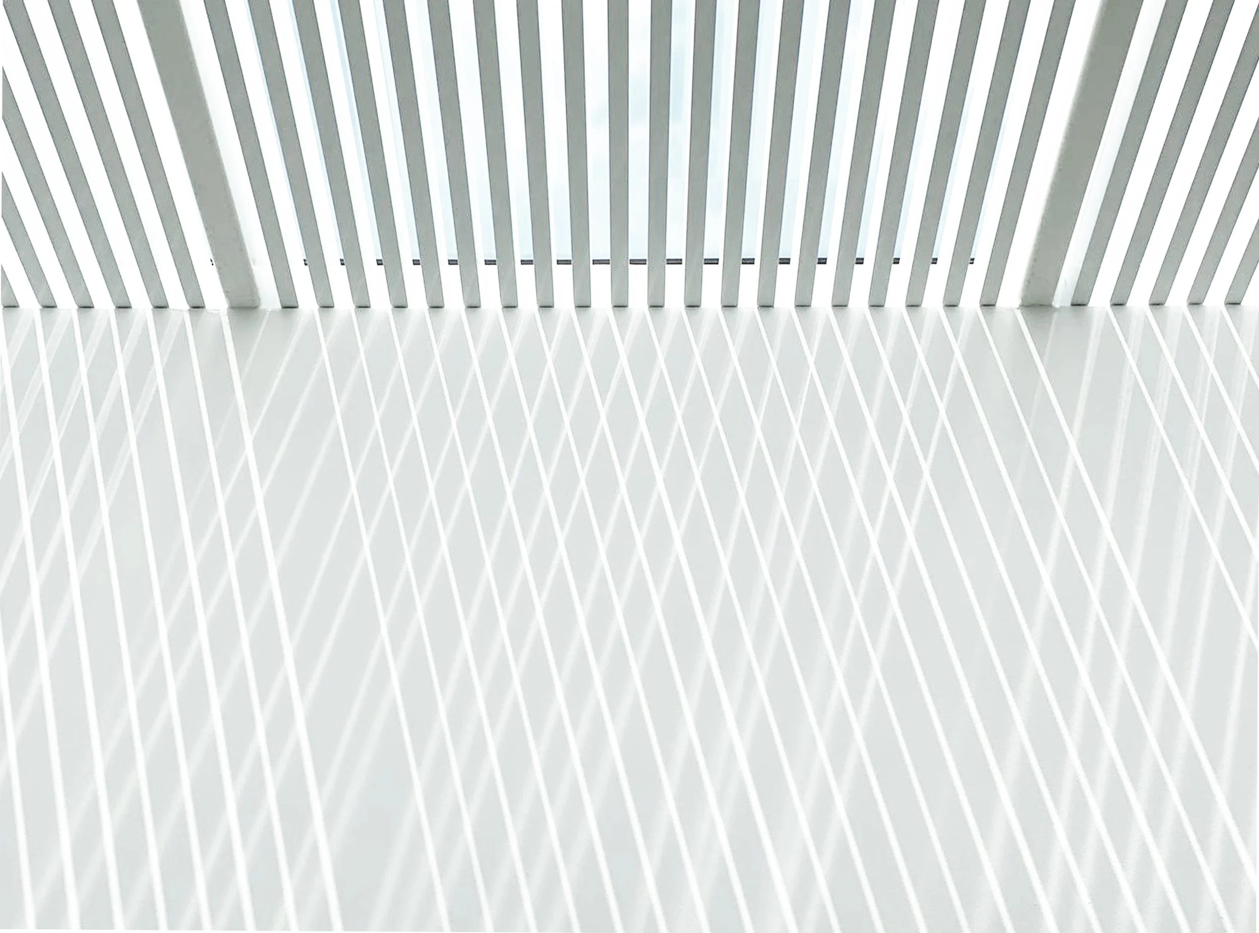 house_JM_trellis-skylight-.jpg