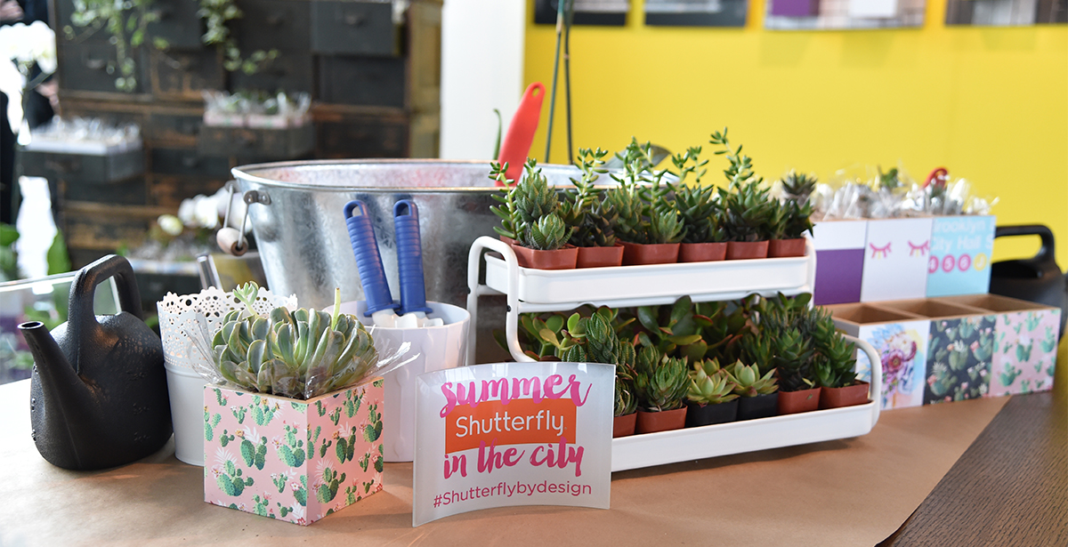 Each editor and blogger who came through got to make their own take home succulent photo cube.