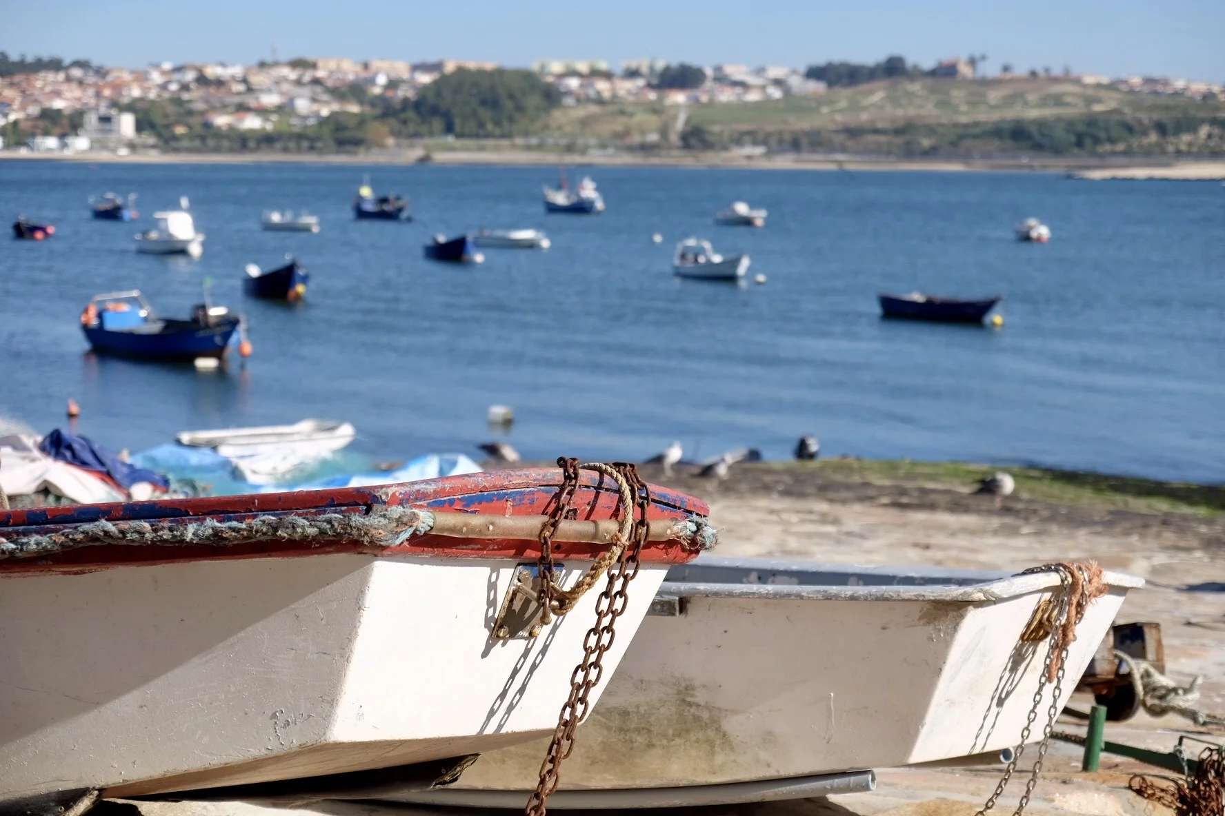 Boats overlooking the Douro River