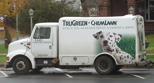 ChemLawn: Ironic for new name and for featuring dogs, given link to canine lymphoma