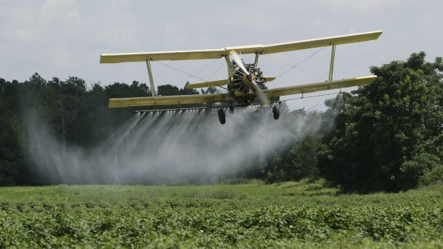 Like pesticides? Trump's got the right man for you. Dave Martin/AP Photo