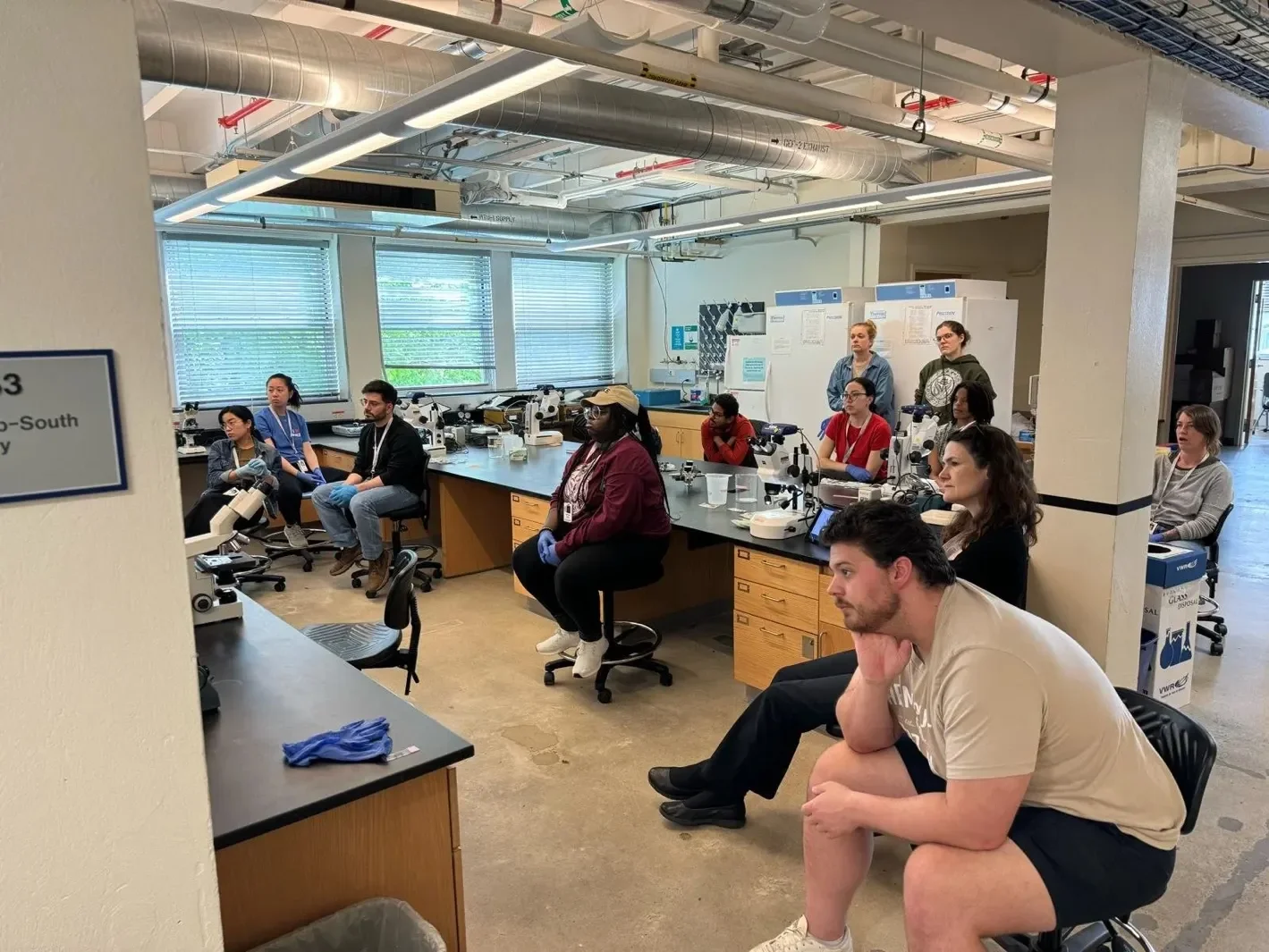 Gang in the Lab.webp