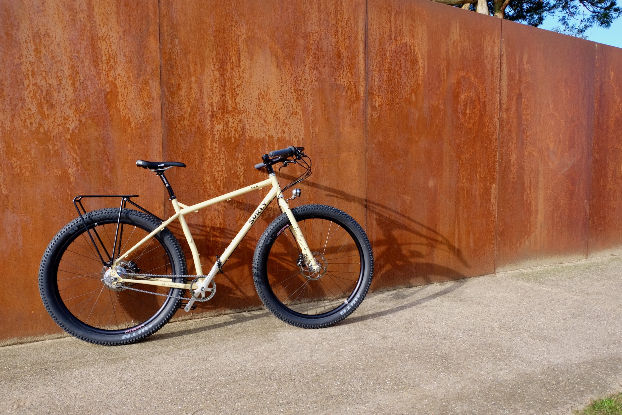 Custom Surly Ecr met Rohloff
