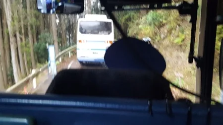 かなり細いです。