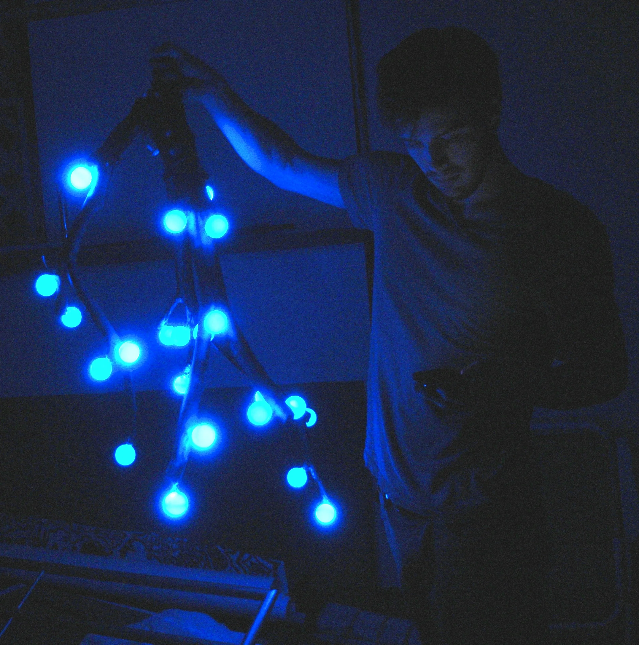 26 variberry blue.jpg