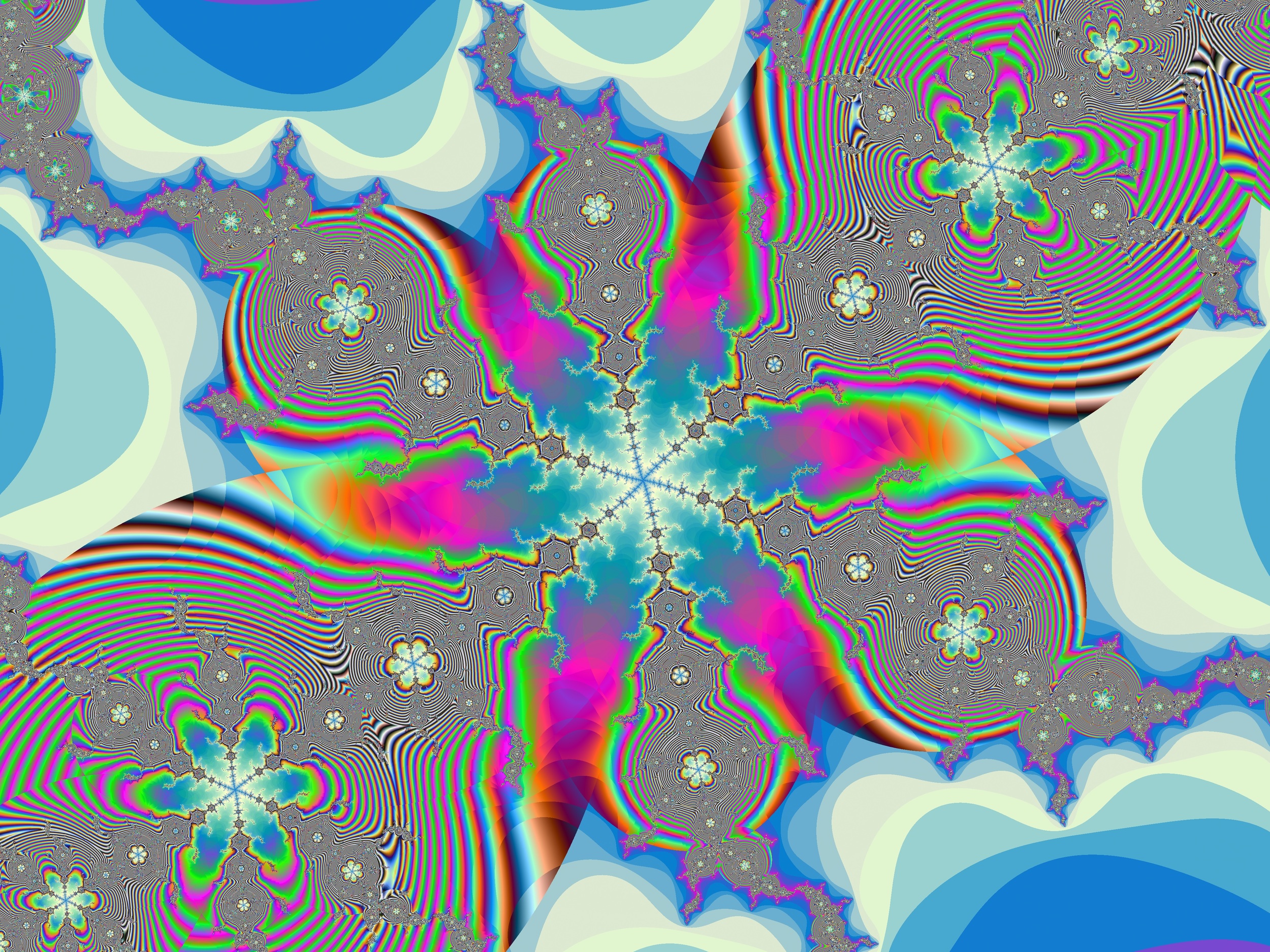 vitaflower1BIG.jpg