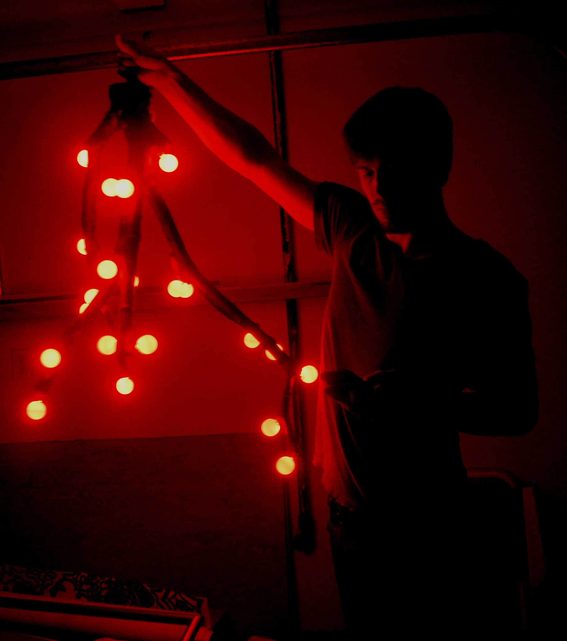 28 variberry red.jpg