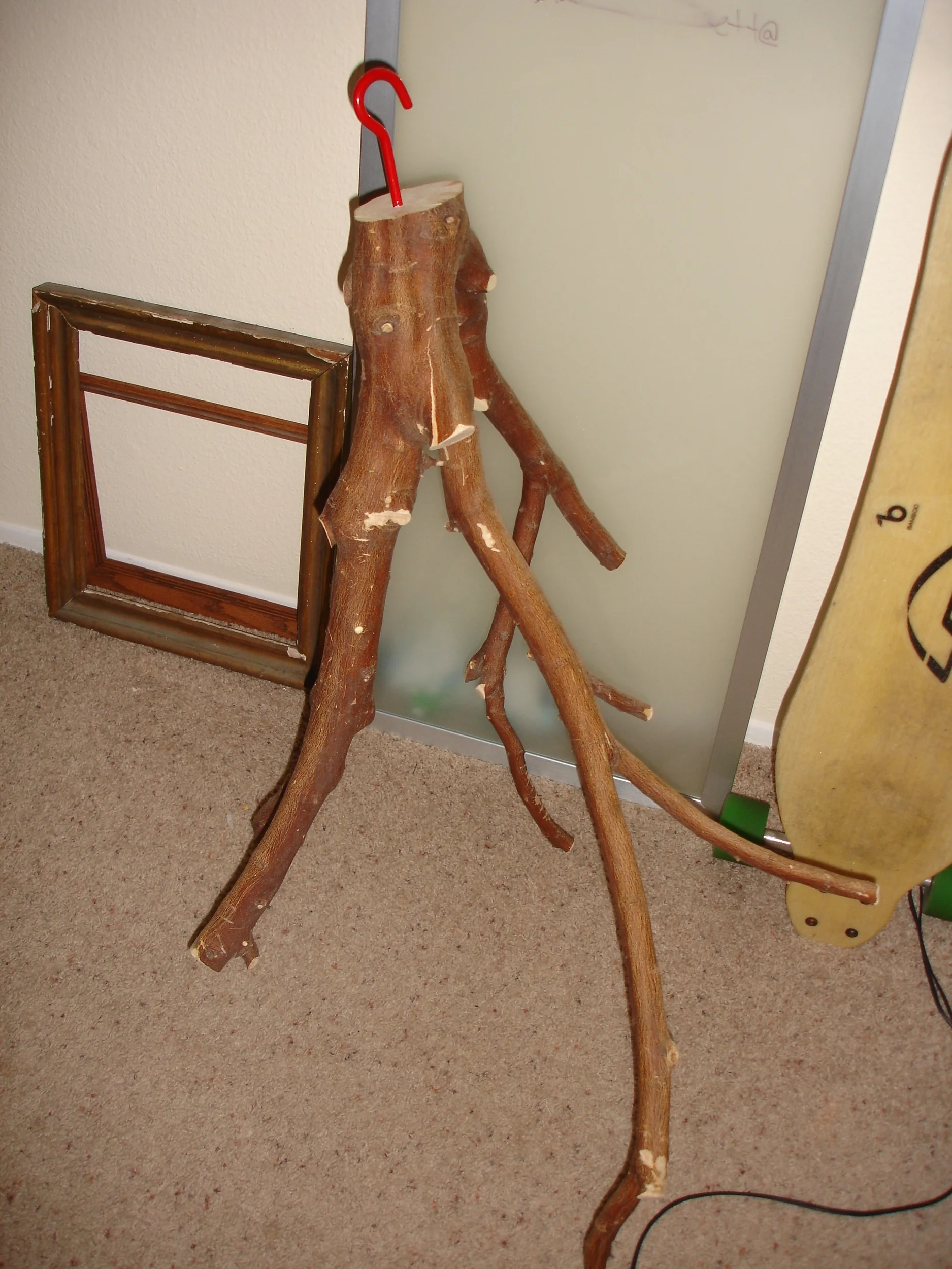 DSC04580.JPG
