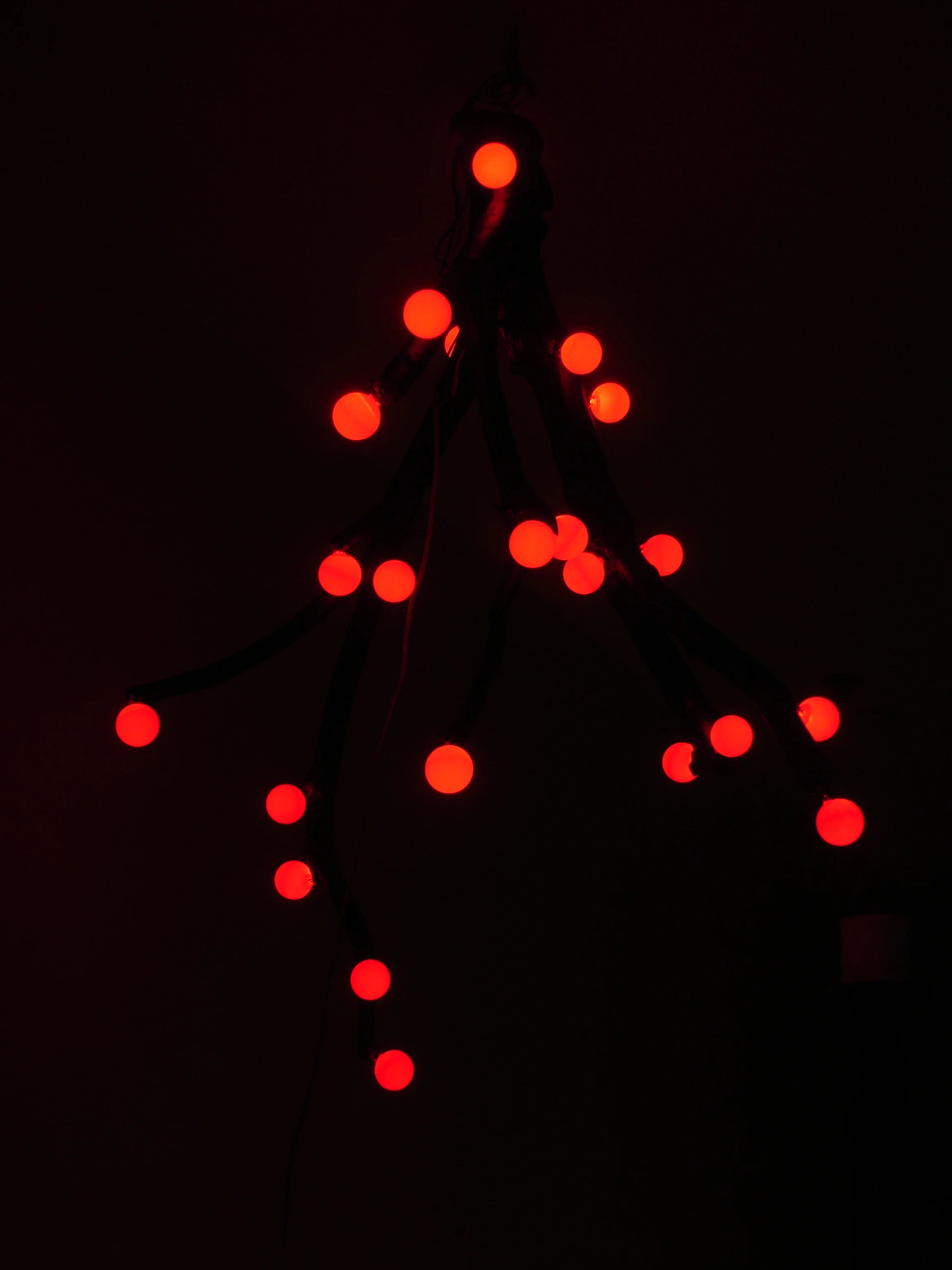 DSC04896.JPG