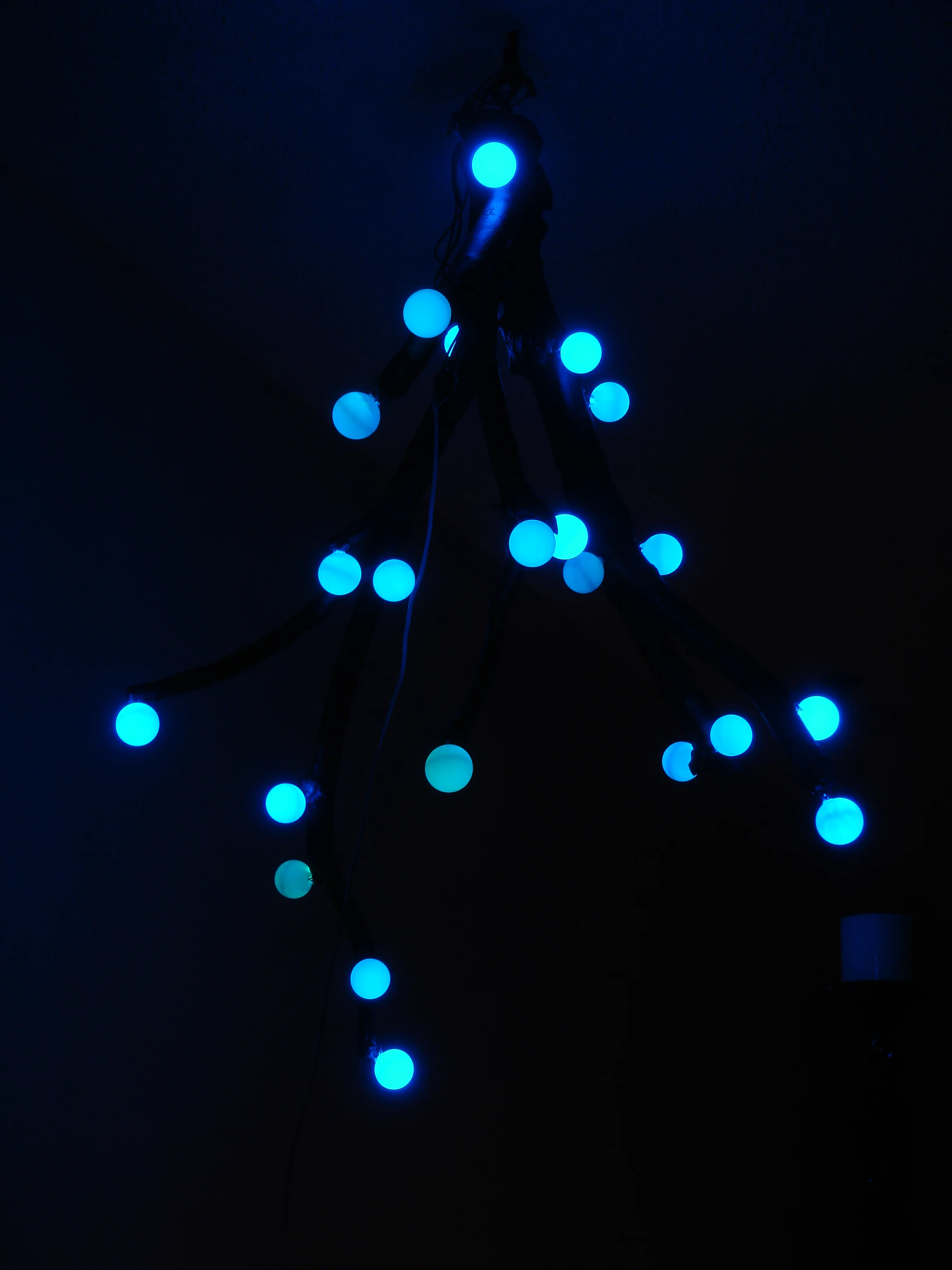 DSC04897.JPG