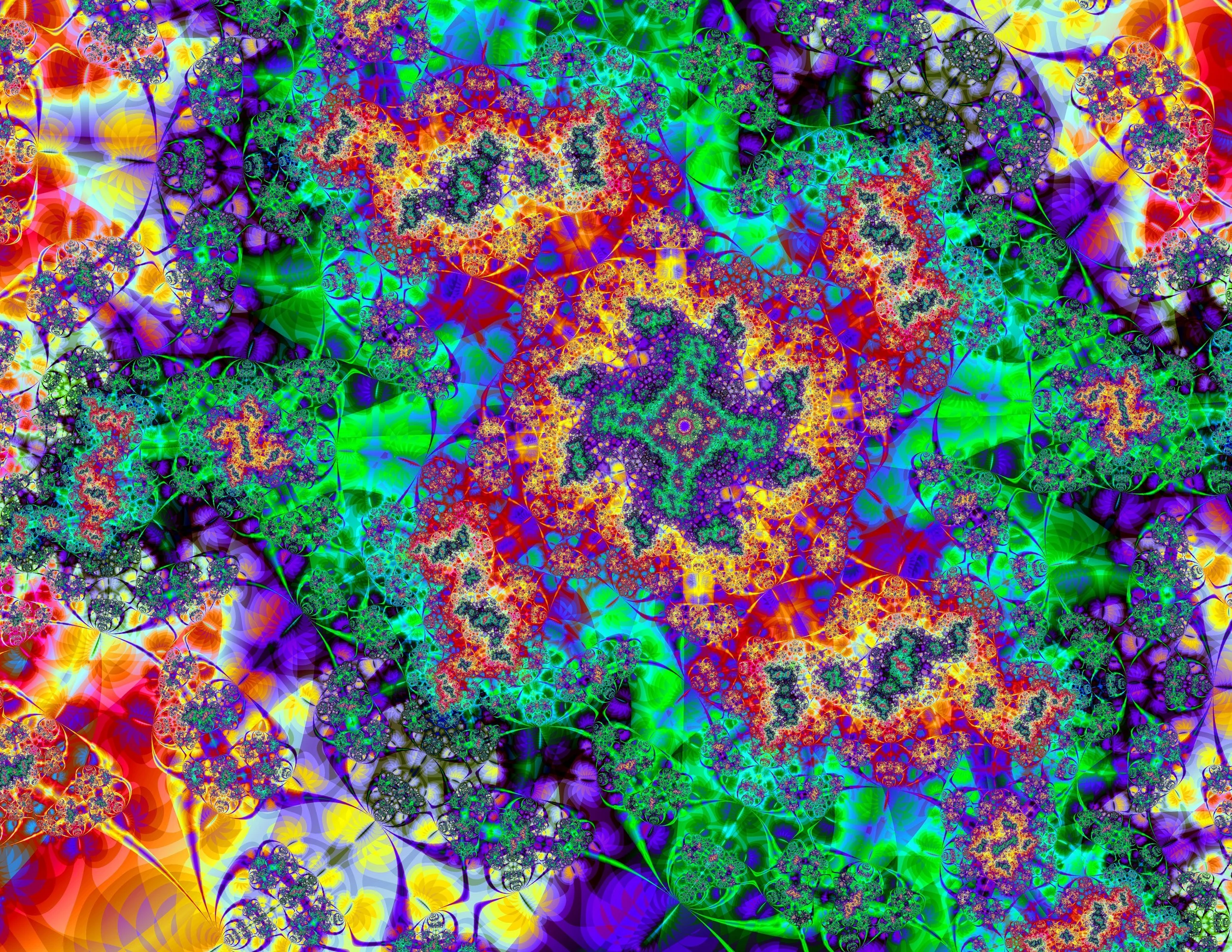 coralfirEHUGE6600x5100.jpg