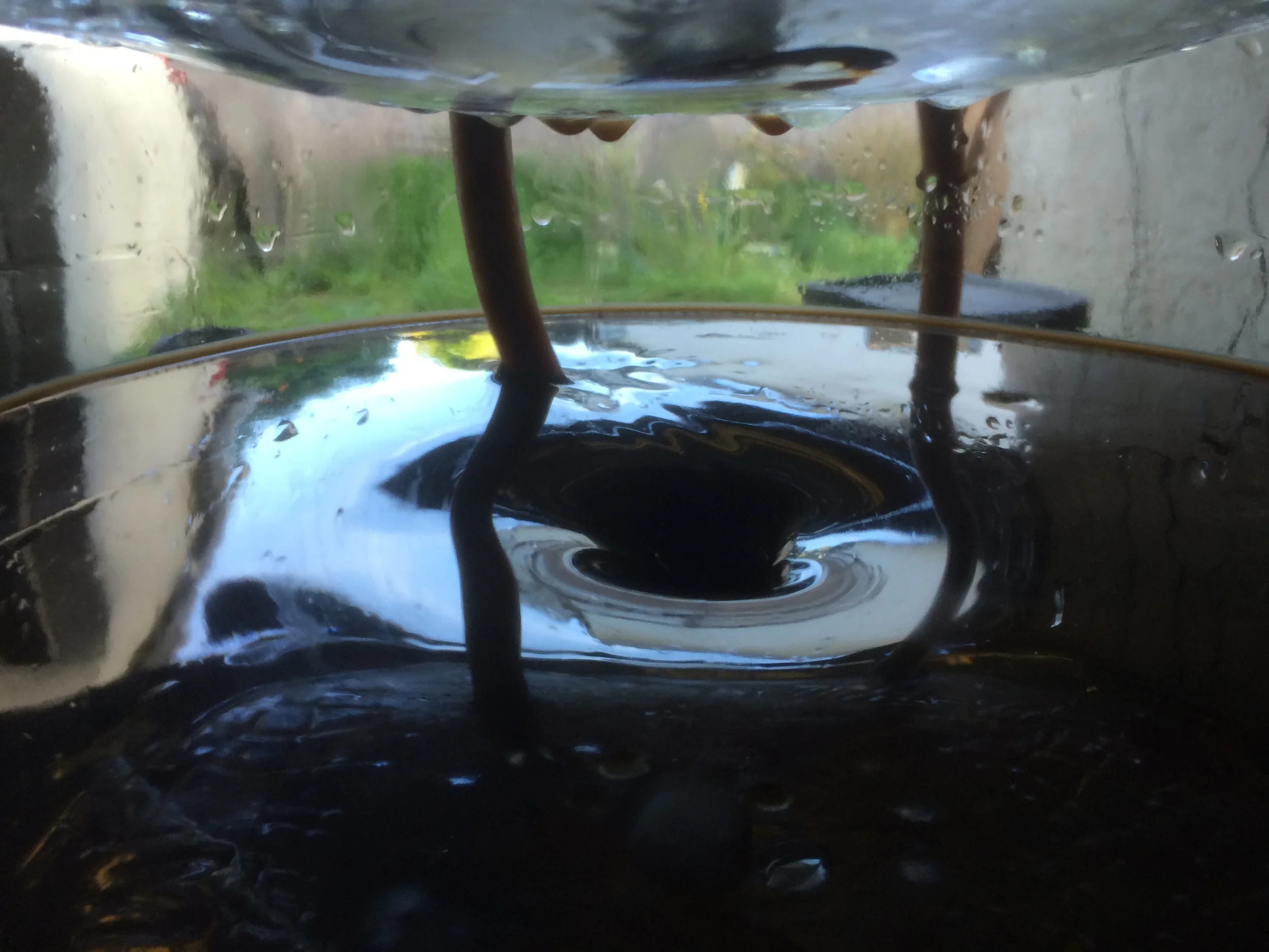 The prototype was tested for leaks, washed, then a starter culture of EM-1 was added along with filtered water and blackstrap molasses. The pump's outlet hose was angled in such a way that the pump-over action caused a vortex to form in the liquid, …