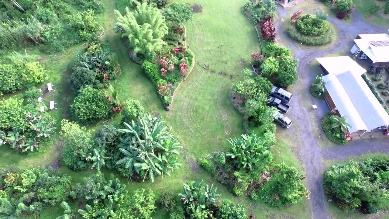 Hawaiin Sanctuary.jpg