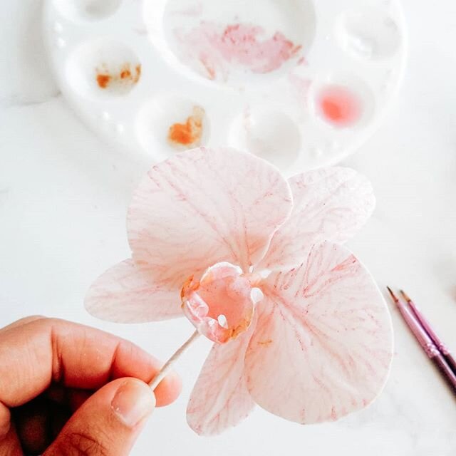 Having all this downtime has had me thinking about sugar flower tutorials, and what is not available out there already. Orchids come in so many colors, patterns and sizes. I've spent this week exploring different ways in how to create extraordinary d