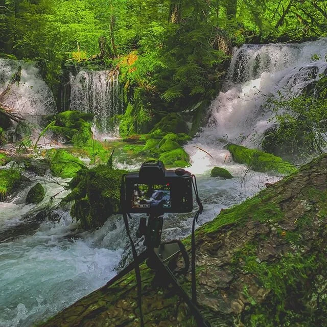 Southern Oregon’s many natural wonders, trails and forests are a dream for the beginning and seasoned filmmaker. Pearsony Falls offers otherworldly views! 📸 @andyisafilmgeek •
•
#filmsouthernoregon #southernoregonfilmmaker #hikesouth