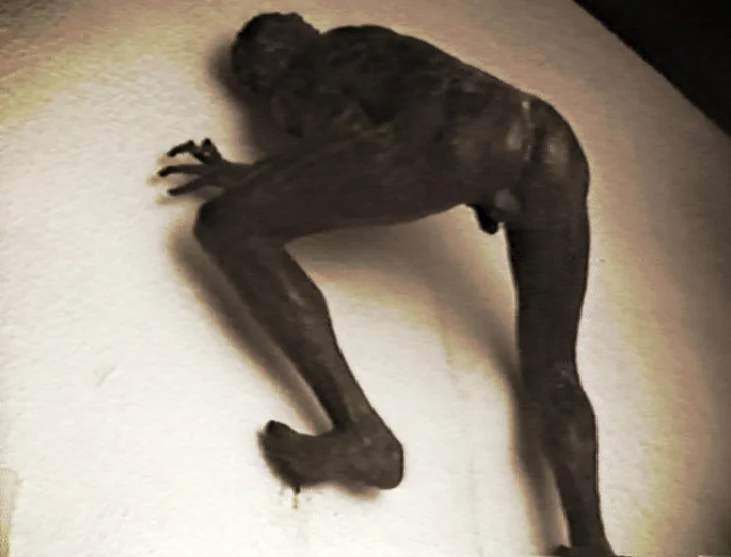 PDVD_003.jpg