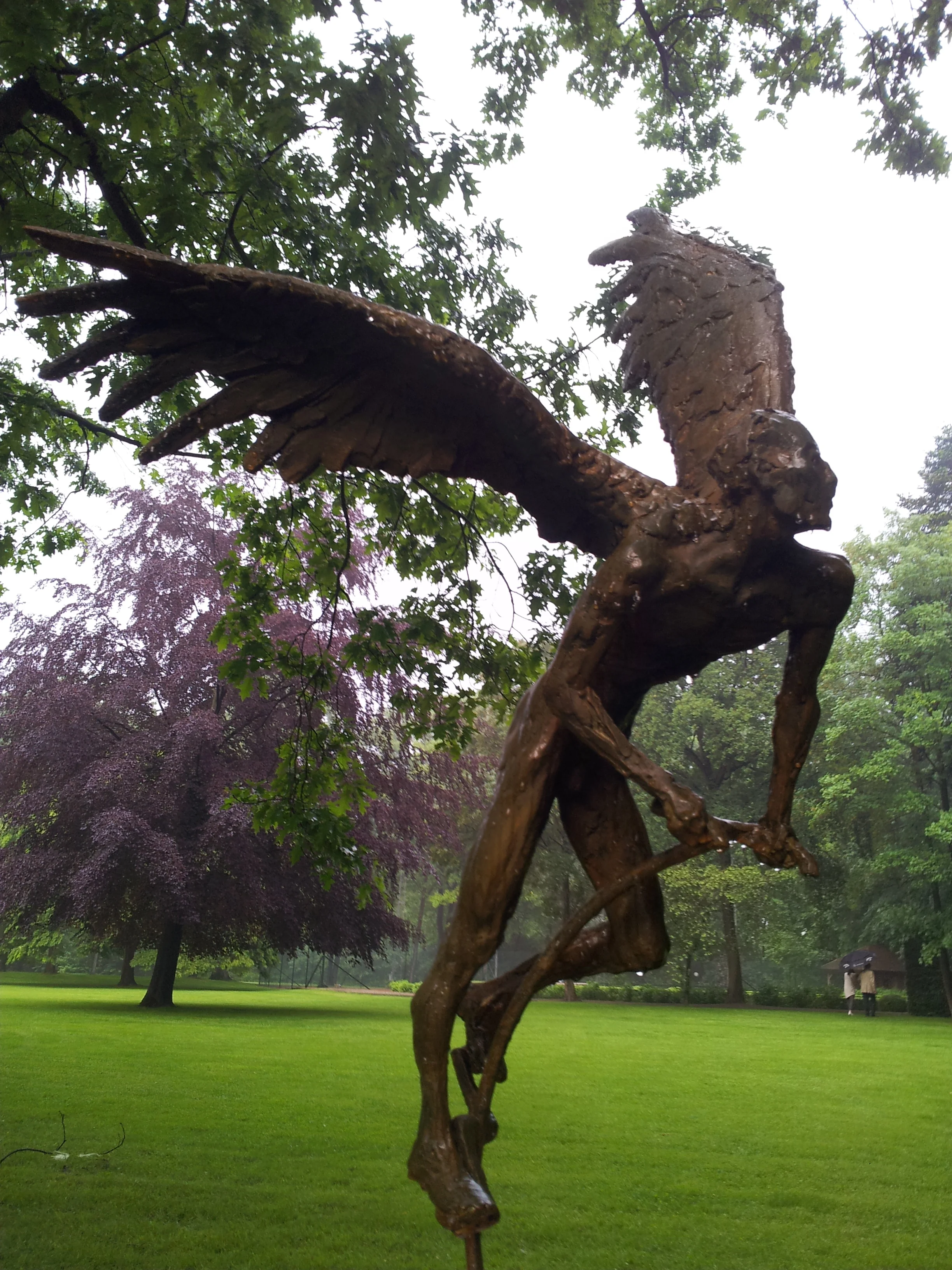 20160528_201332.jpg