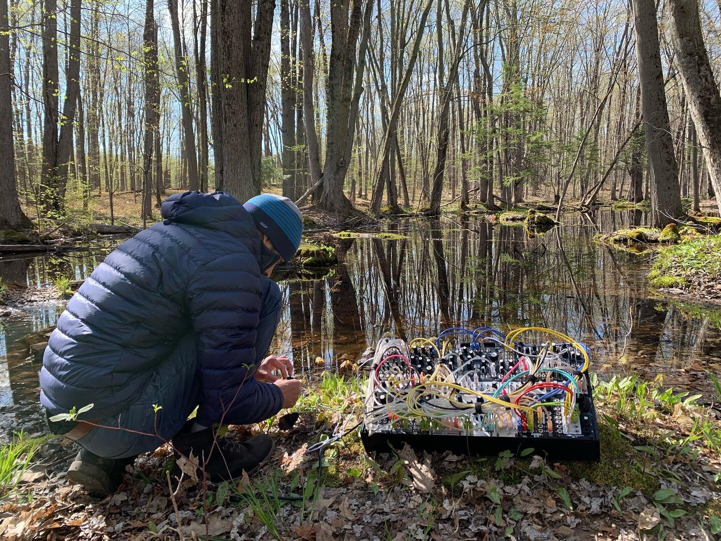 It&rsquo;s such an incredible feeling to be outdoors listing to nature speak through music. I am humbled by it's creative genius.

@canada.council 

#plantmusic 
#bringtheartstolife 
#biodatasonification 
#plantmusicinnature