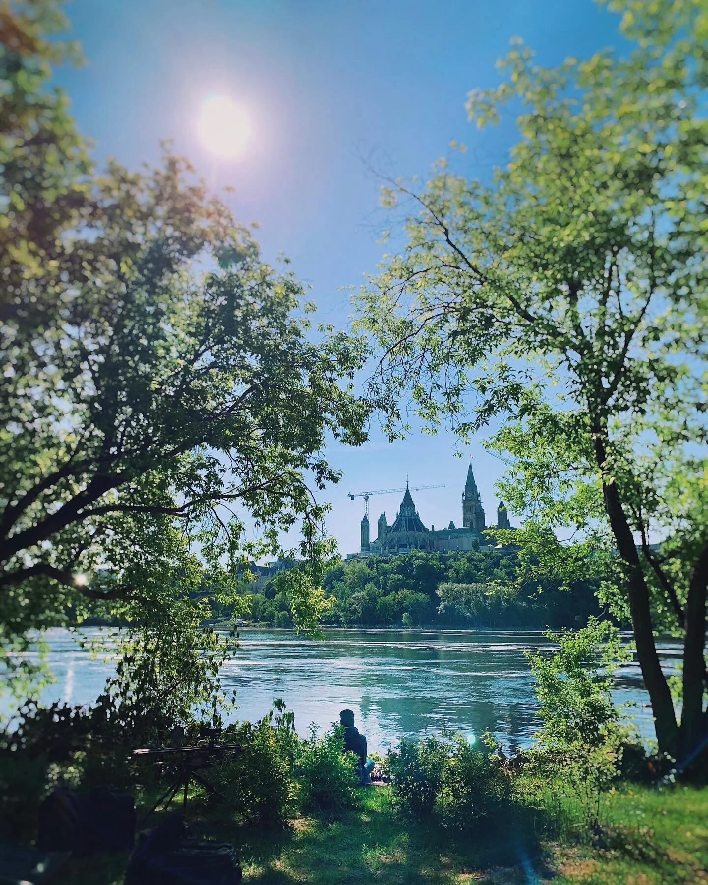 Living in the life force of a breathtaking tree, and listening to its music makes me wonder how much of what I love was perfected in the stillness of this unspoken maestro.

#bringingtheartstolife 
#canadacouncil
#ottawa
#ontario
#plantmusic 
#parlem