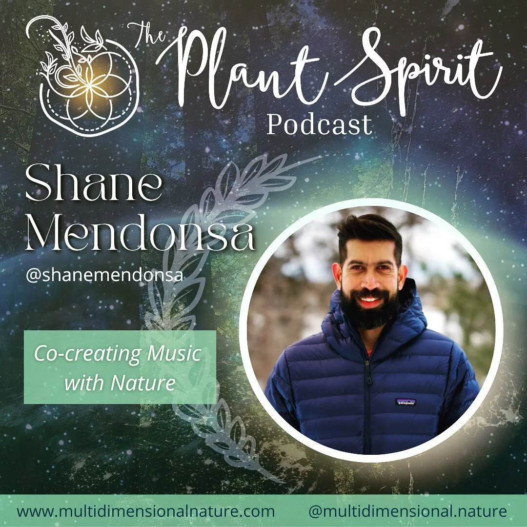Curious to know about co-creating music with plants and connecting with nature? 

I invite you to tune in to this plant music podcast episode with the wonderful Sara Artemisia @multidimensional.nature and me from our session at the Plant Spirit Herba