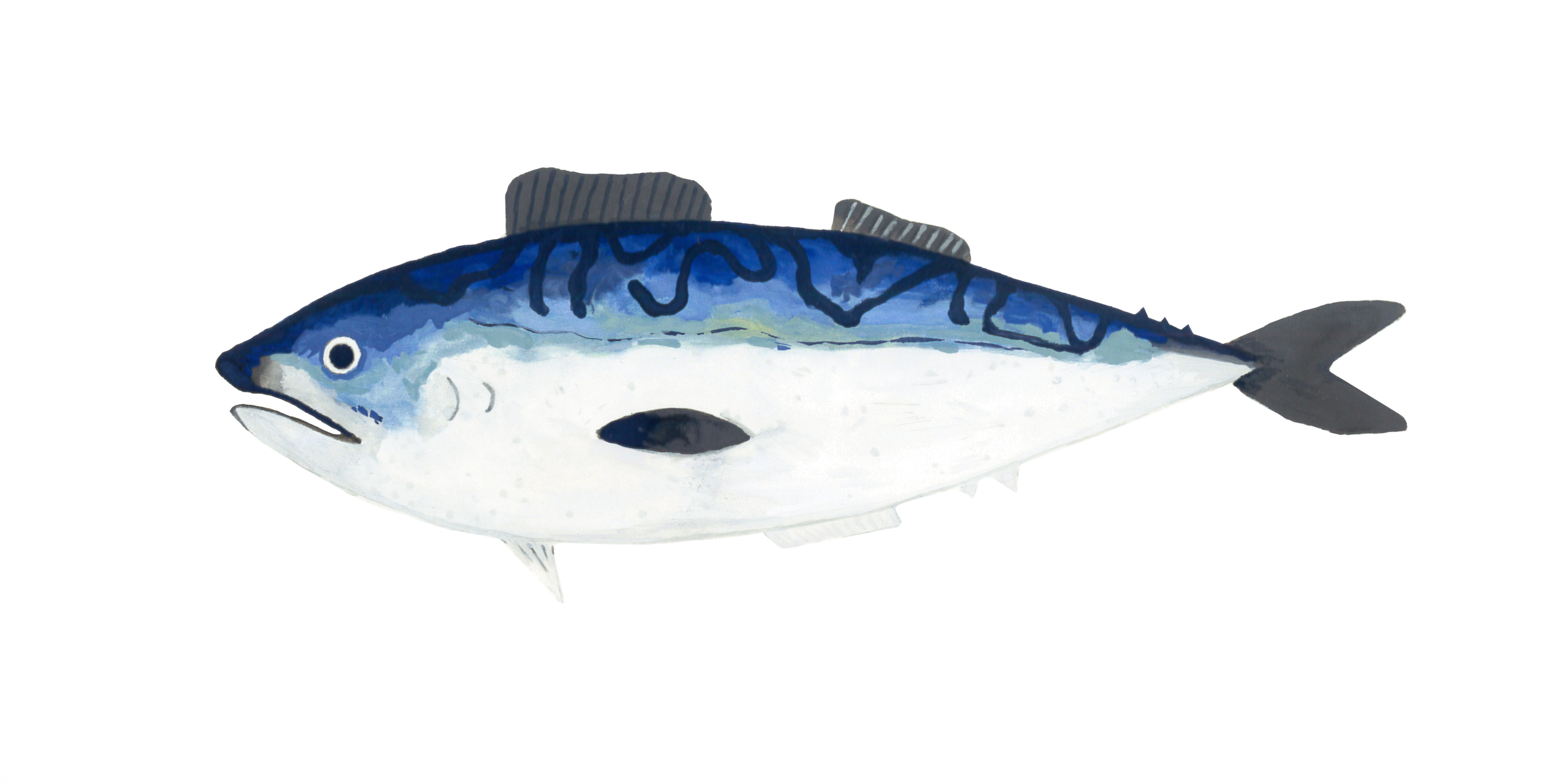 fisk.png