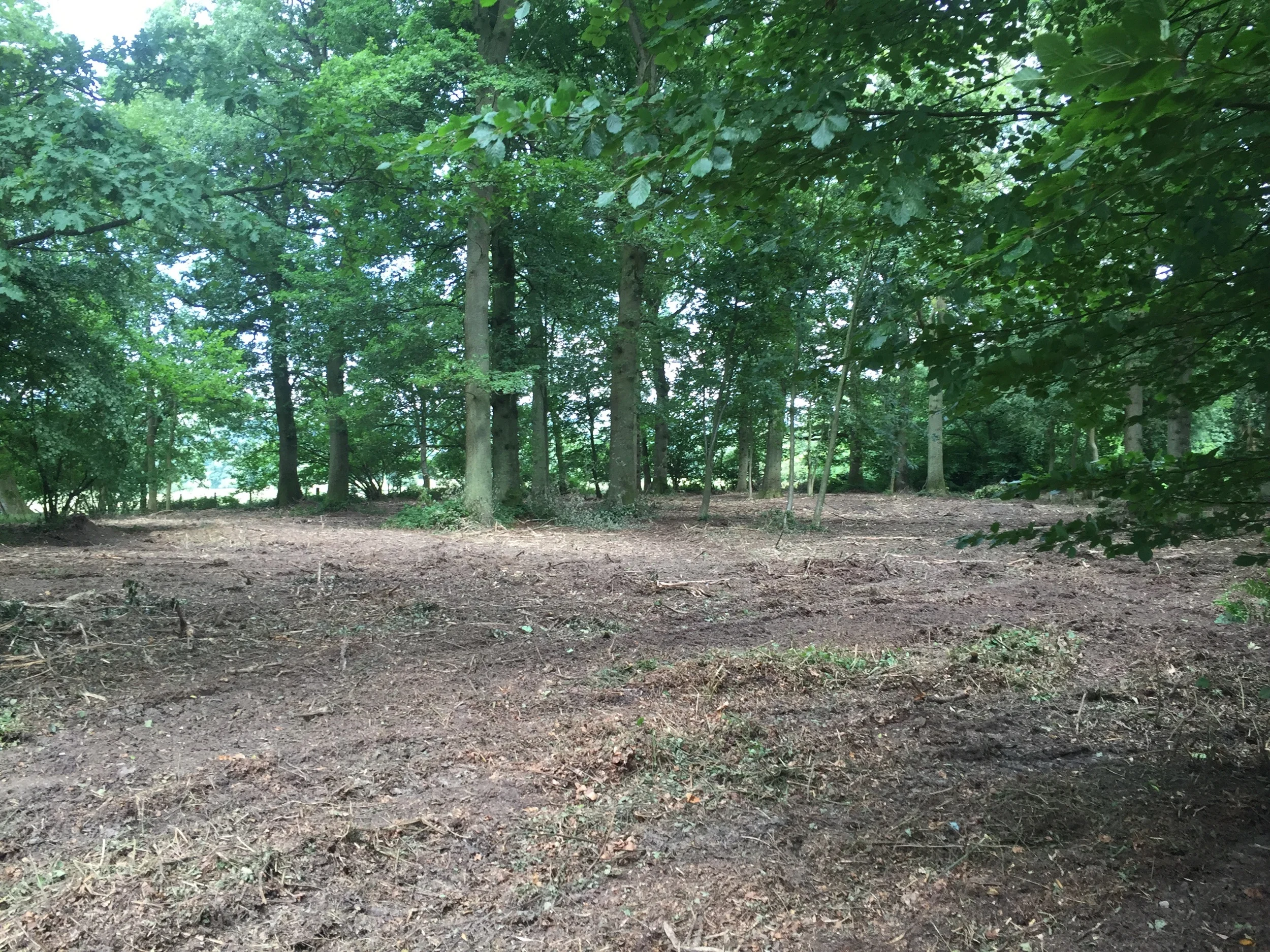 #forestrymulching #fecon
