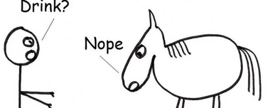 I'm not suggesting that you are a horse, but.....