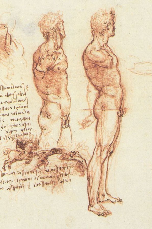 Leonardo da Vinci Figure DRawing