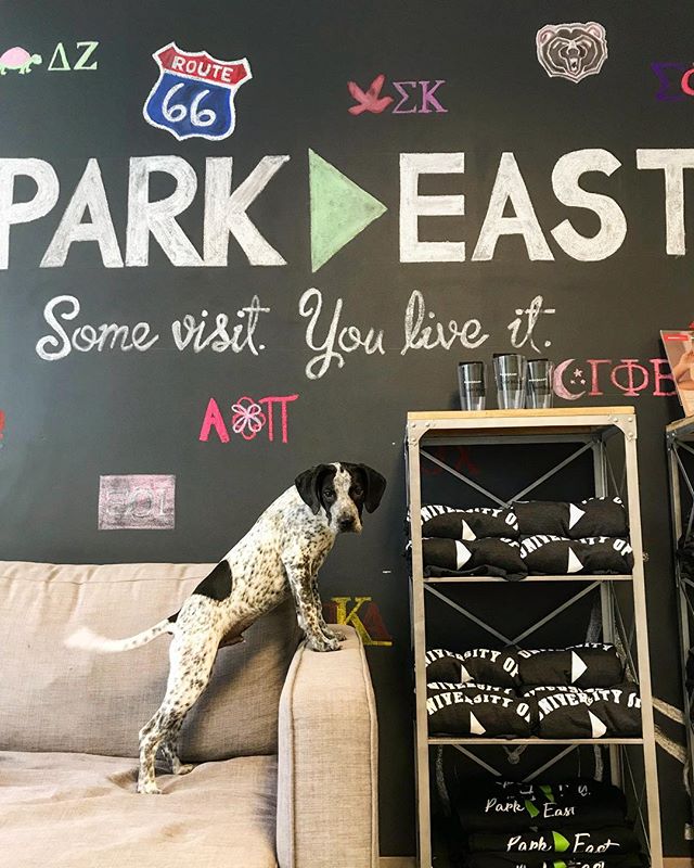 Newly Renovated MSU Student Housing Park East Apartments