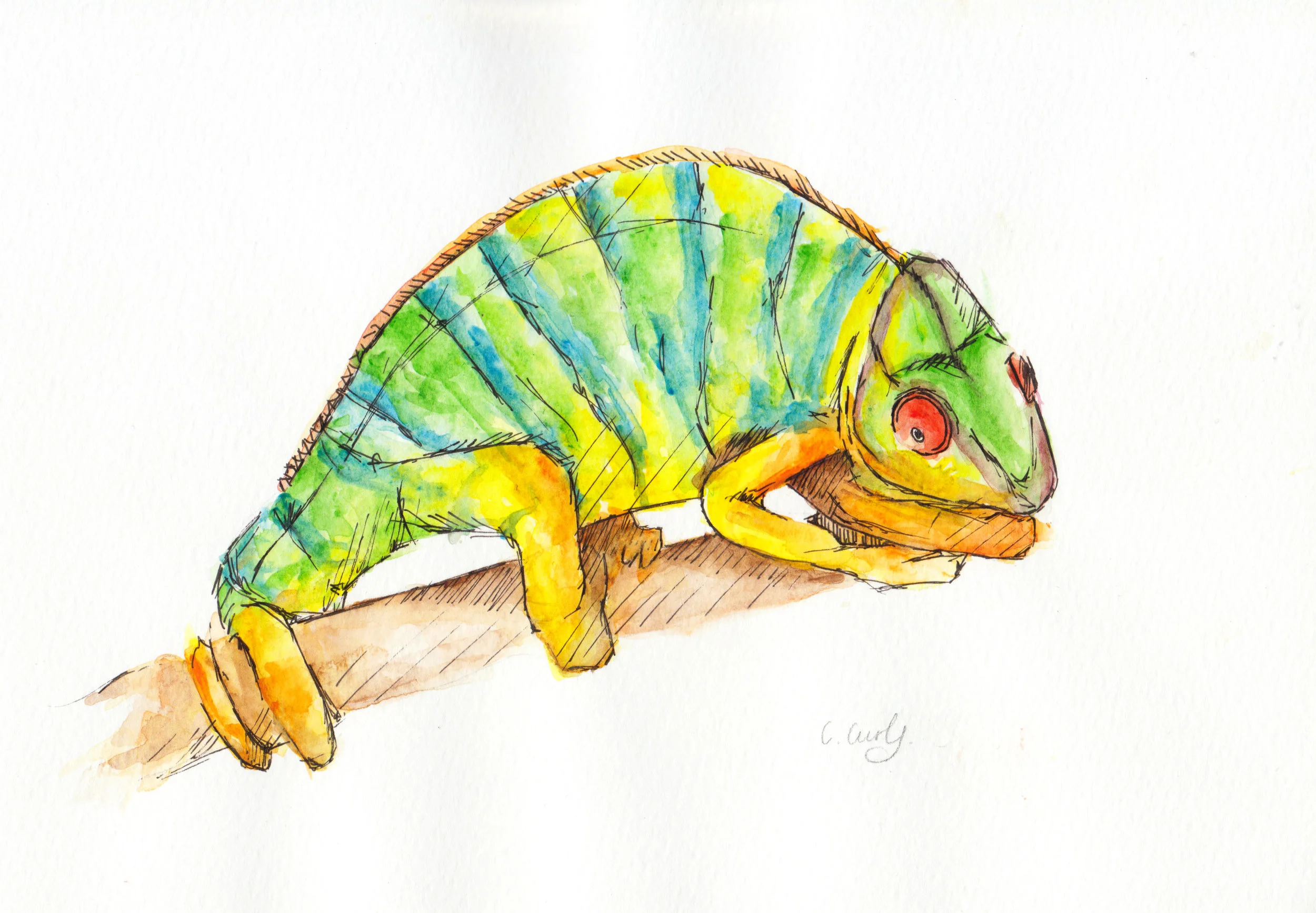 CHAMELEON_EDIT.jpg