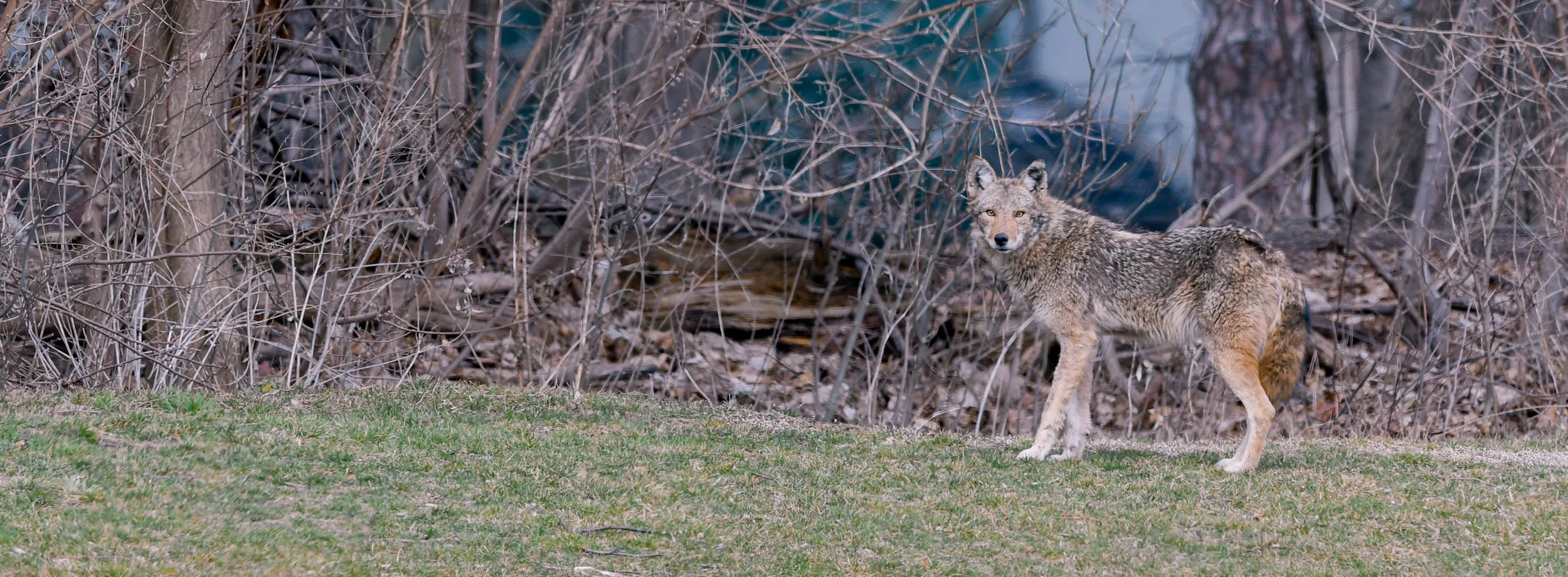 DSC_0818-2.jpg