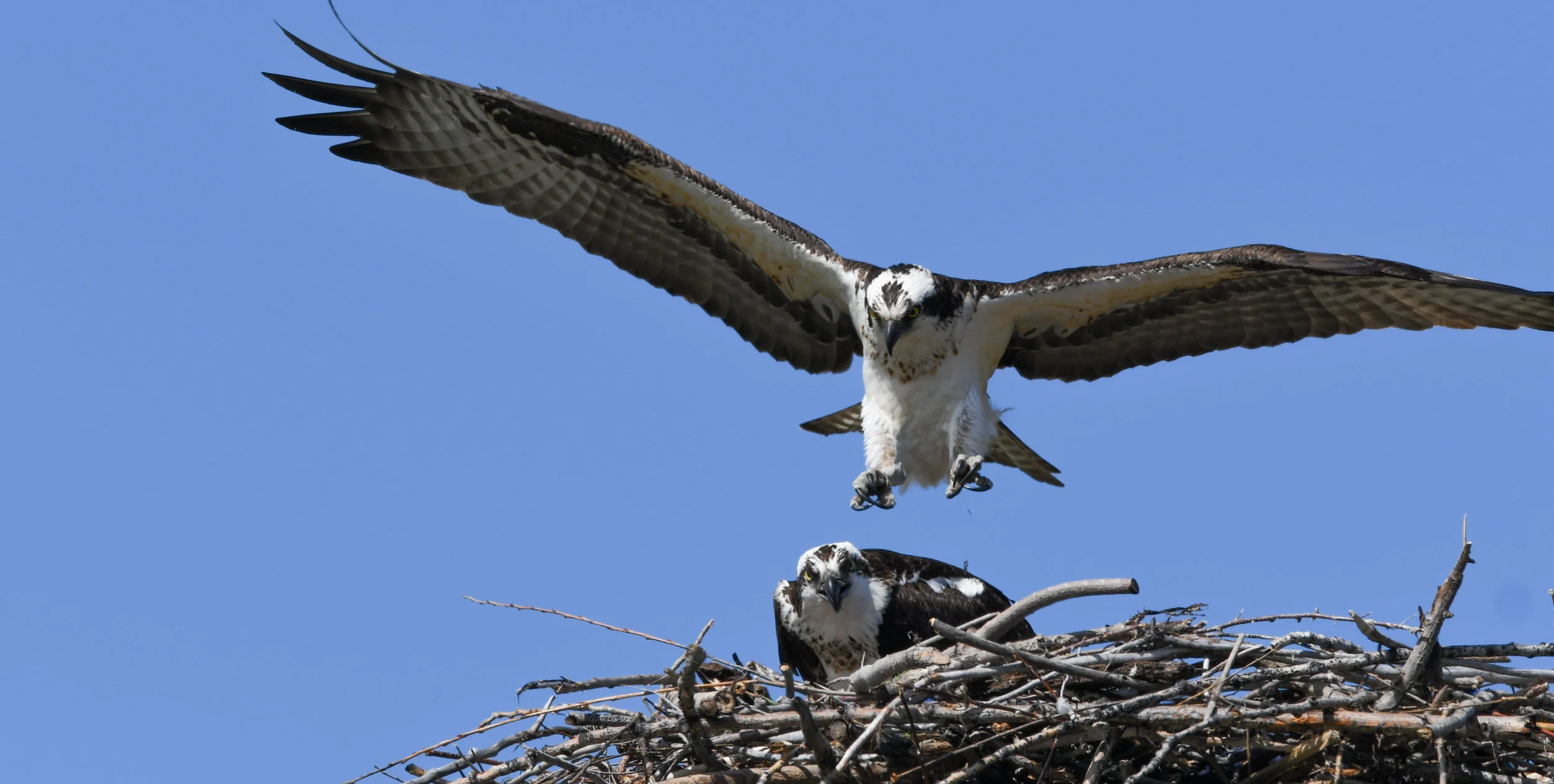 DSC_3953.jpg