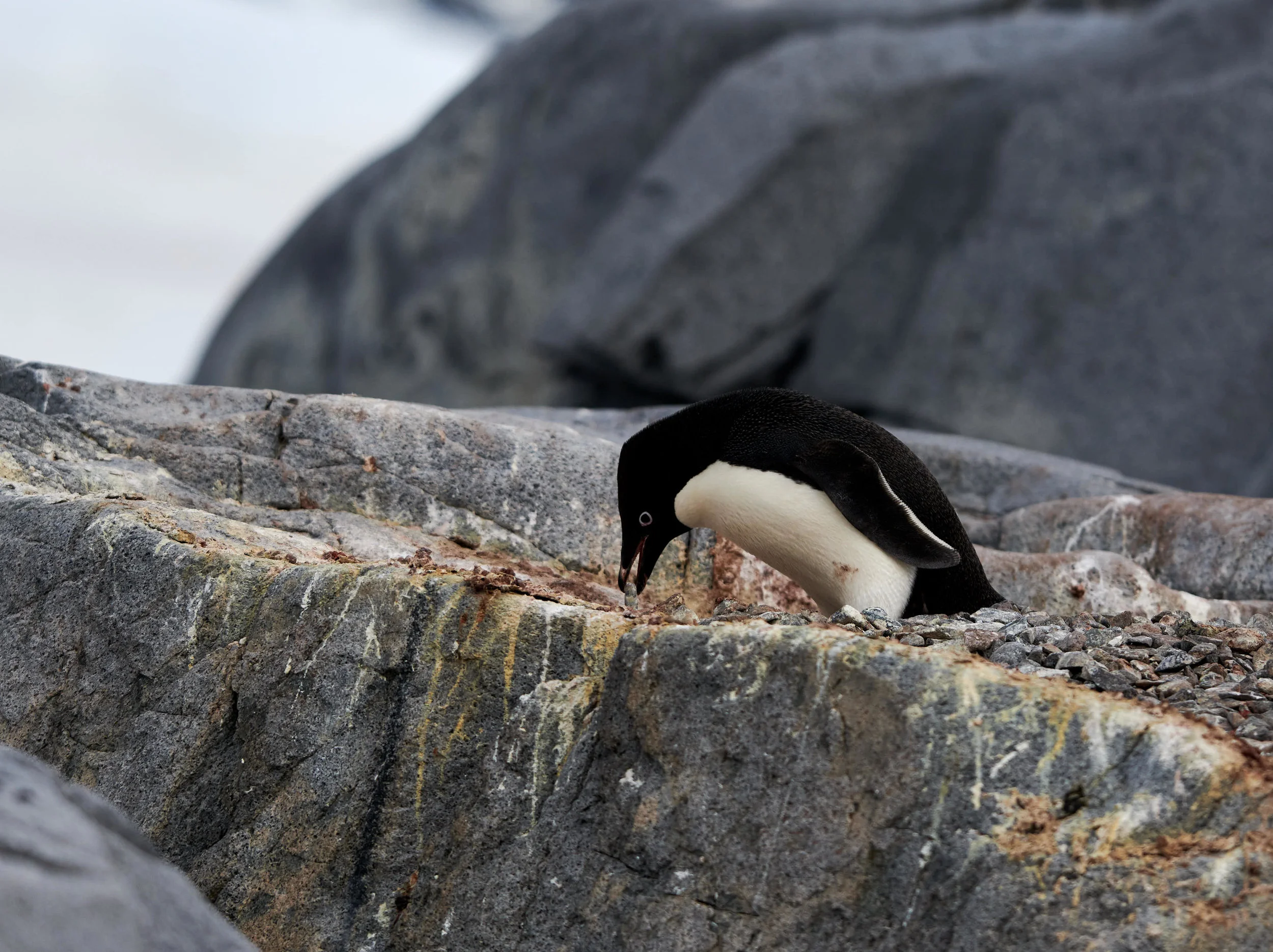 DSC_5091.jpg