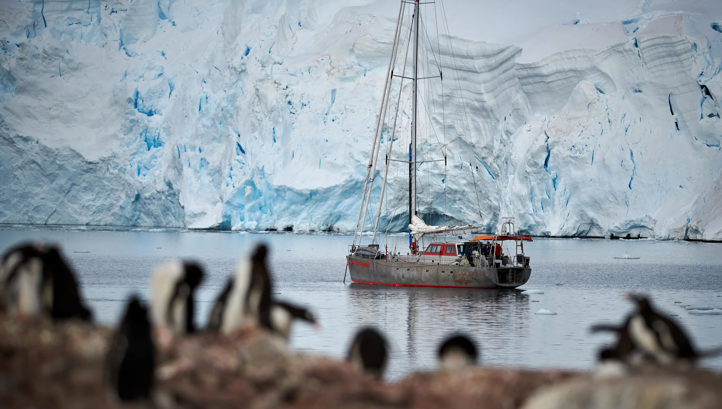 Another Sailboat also in Port Lockroy