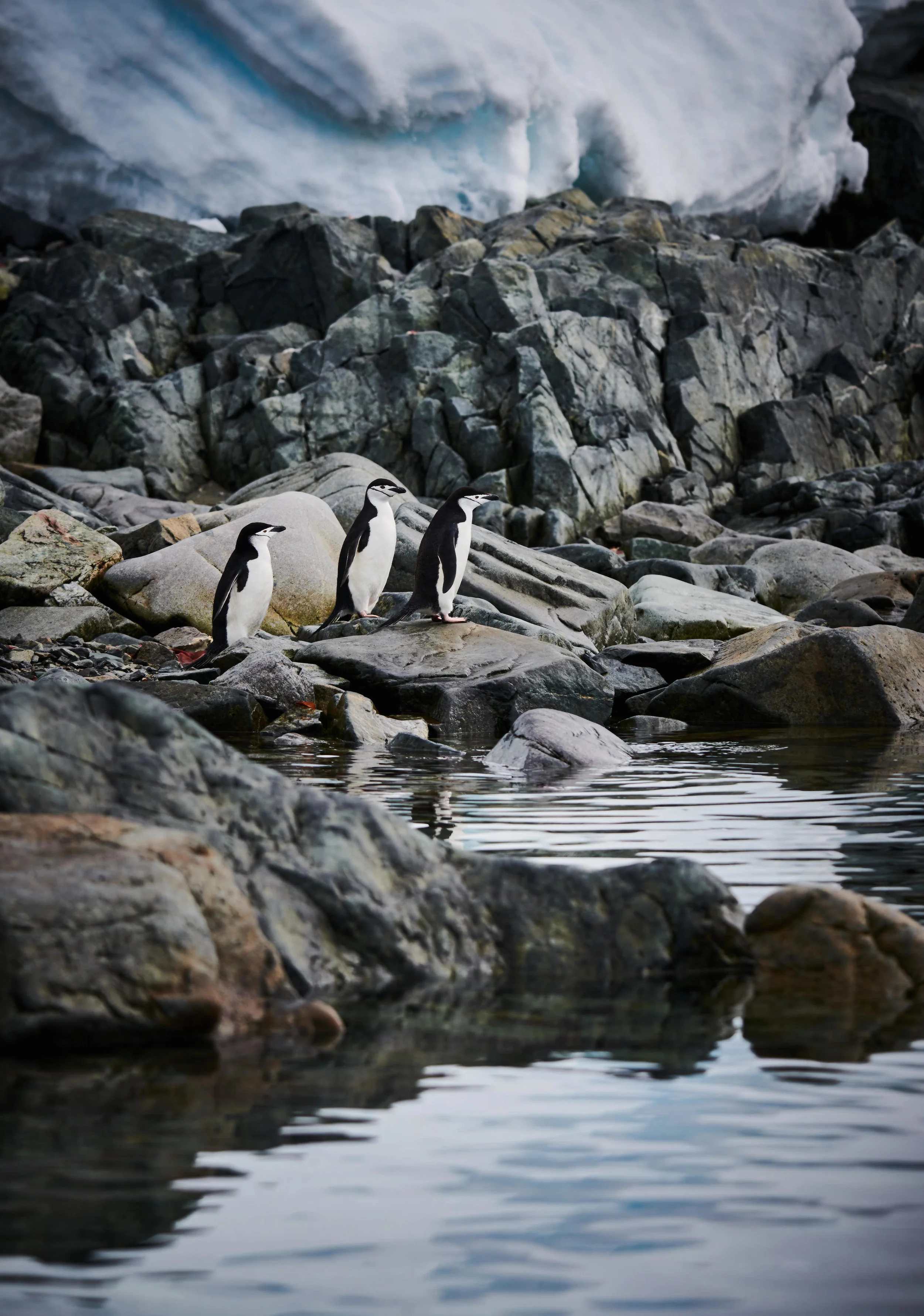 DSC_5343.jpg