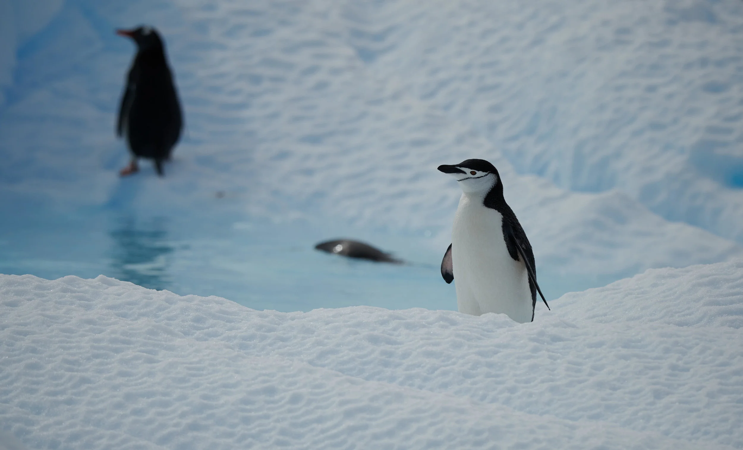 DSC_5629.jpg