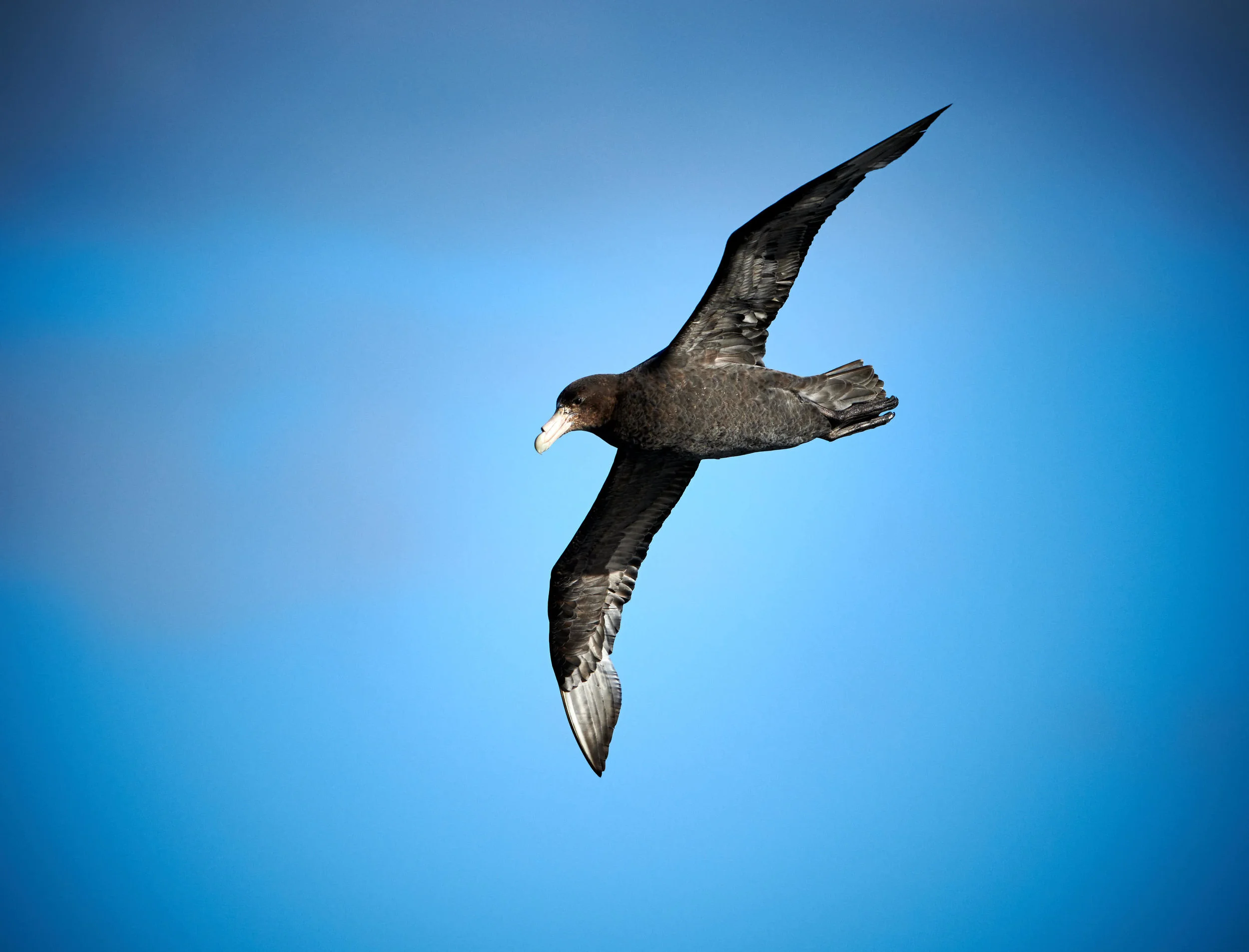 DSC_6847.jpg
