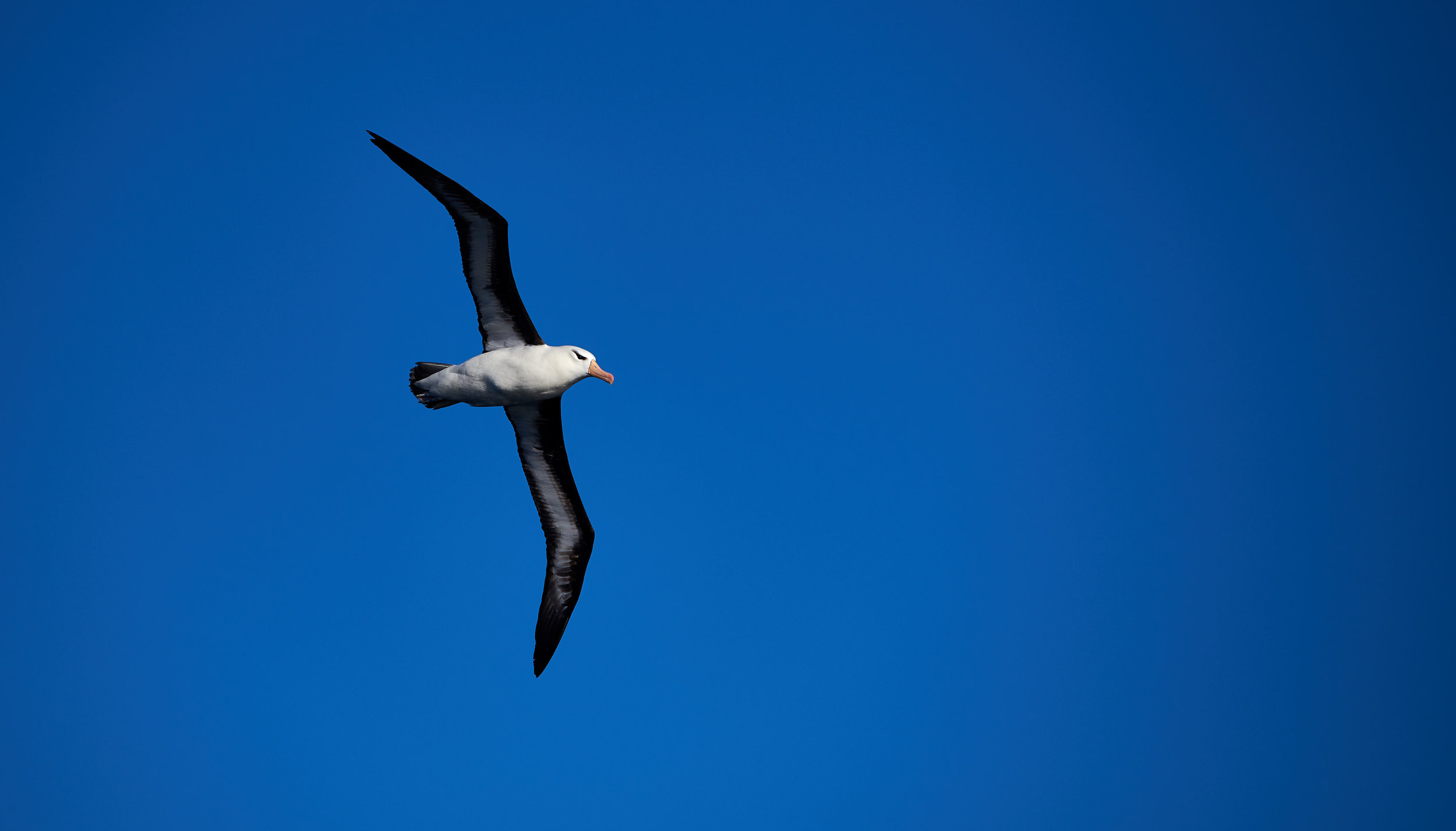 DSC_6941.jpg